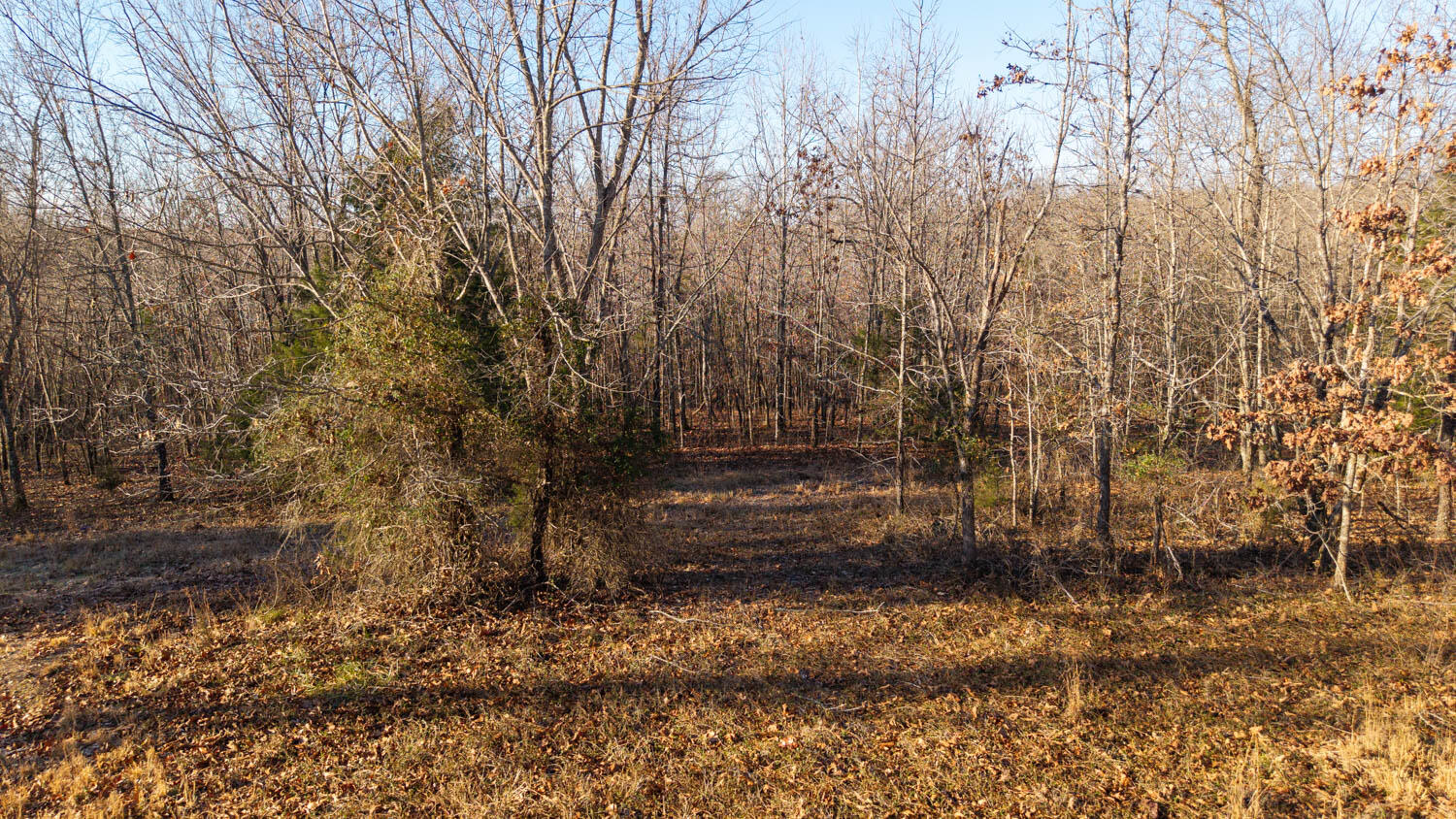 749 State Highway Hh Property Photo 77