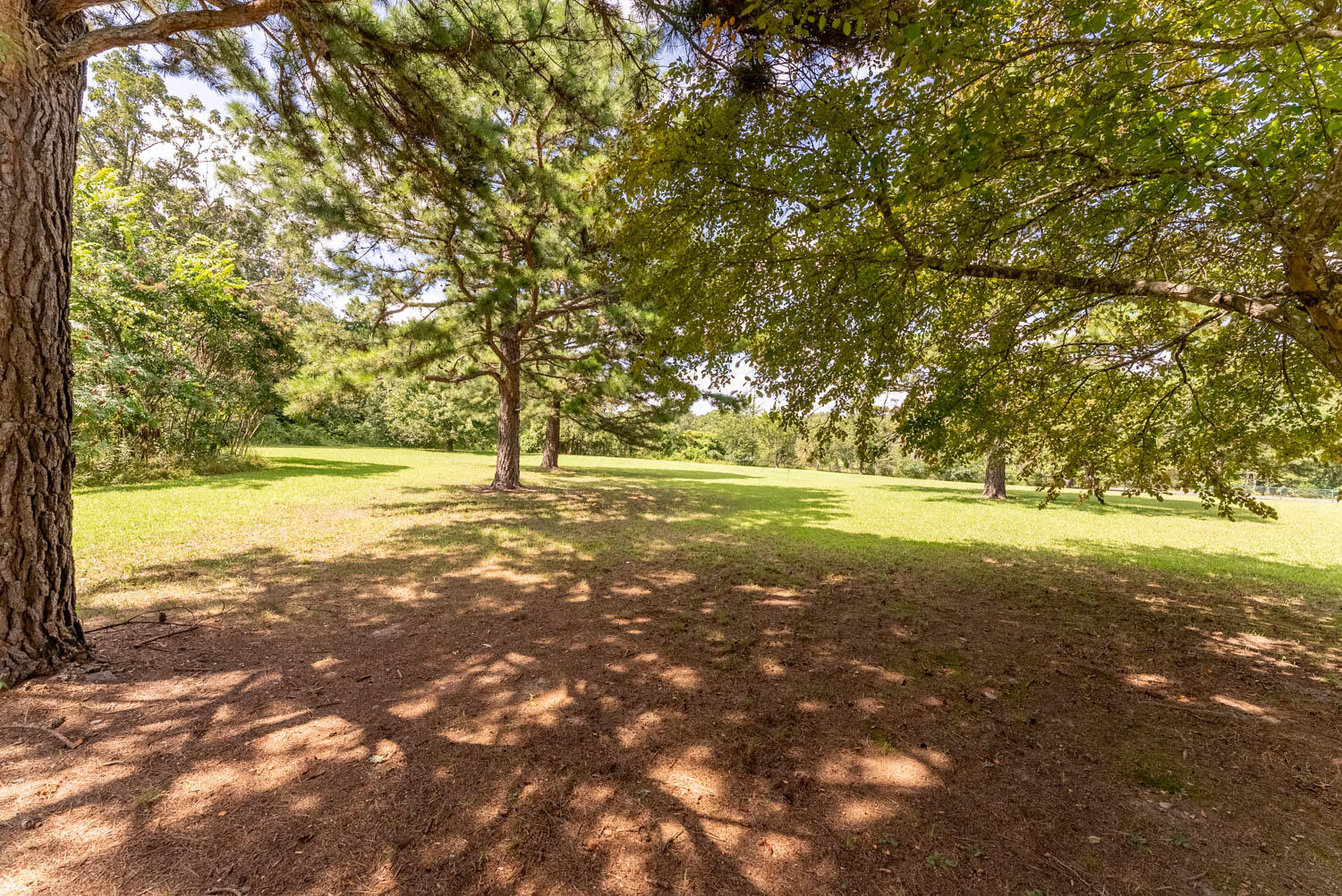 749 State Highway Hh Property Photo 82