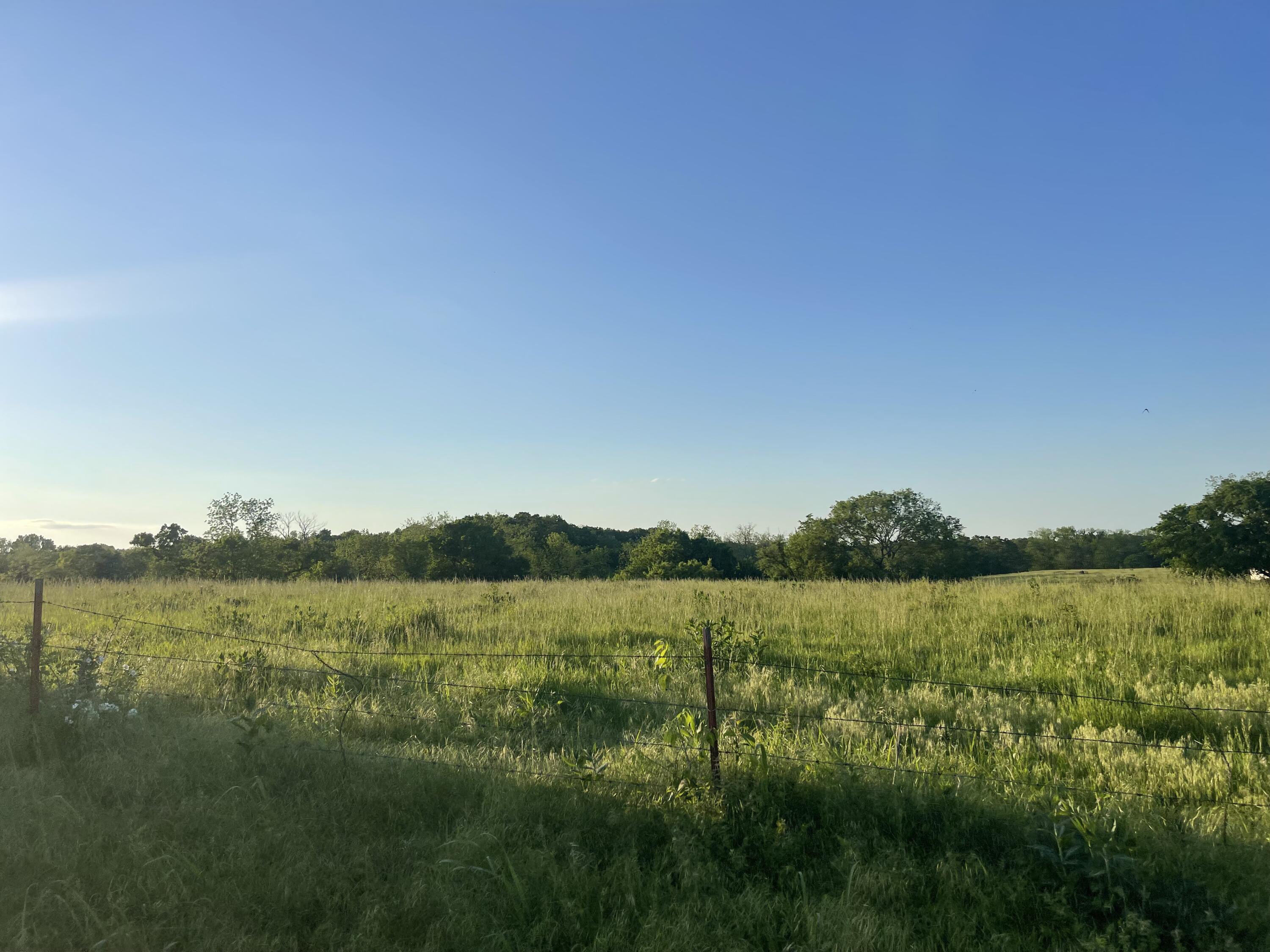 2632 Quail Road Property Photo 7