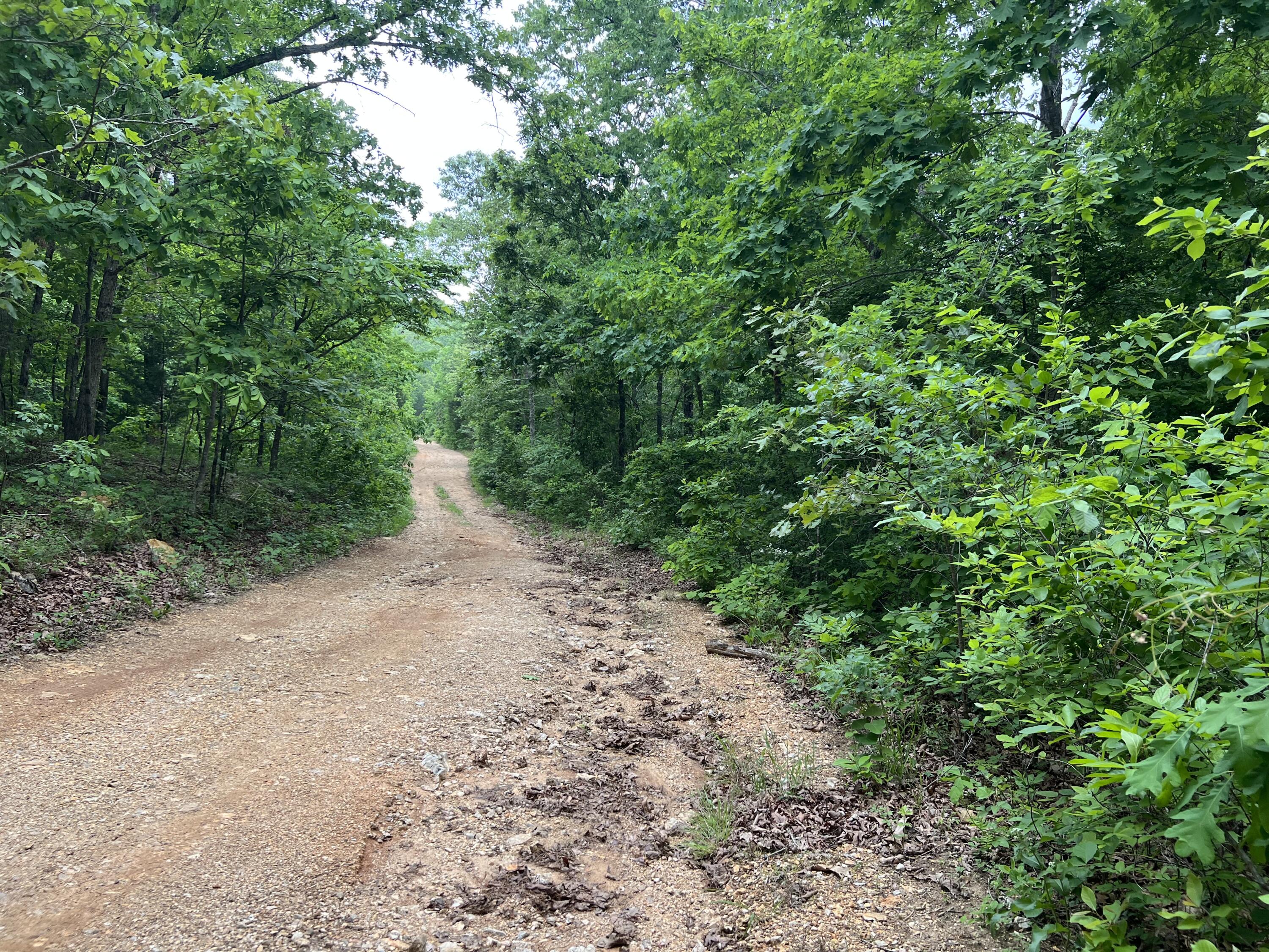 000 Lot 7 Tall Oaks Trail Property Photo 1