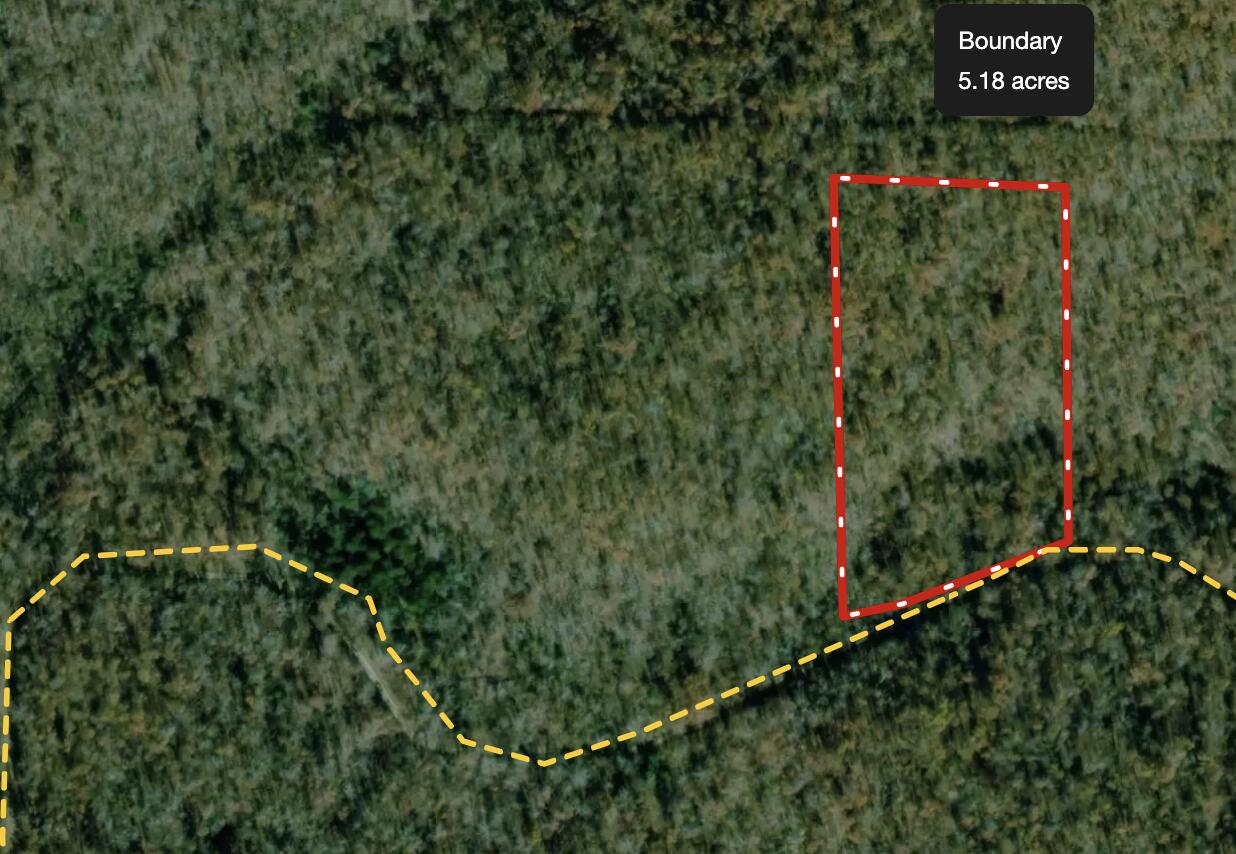 000 Lot 7 Tall Oaks Trail Property Photo 2