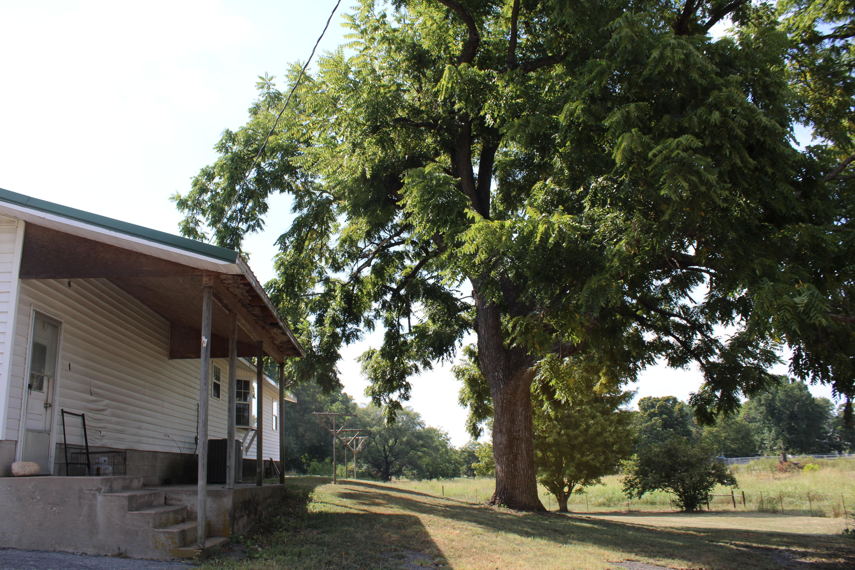 1507 Washington Avenue Property Photo 51