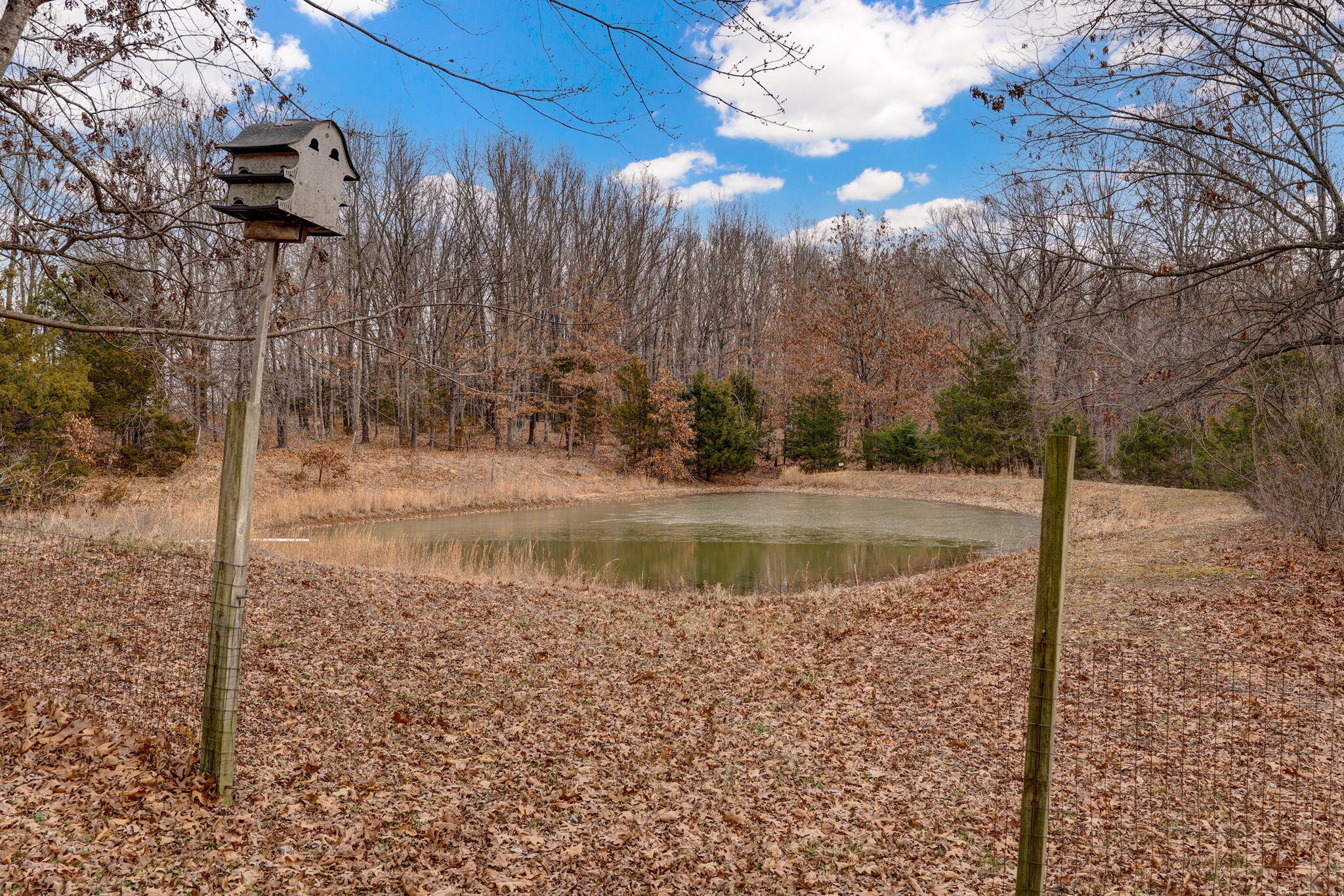 1355 State Highway 32 Property Photo 7
