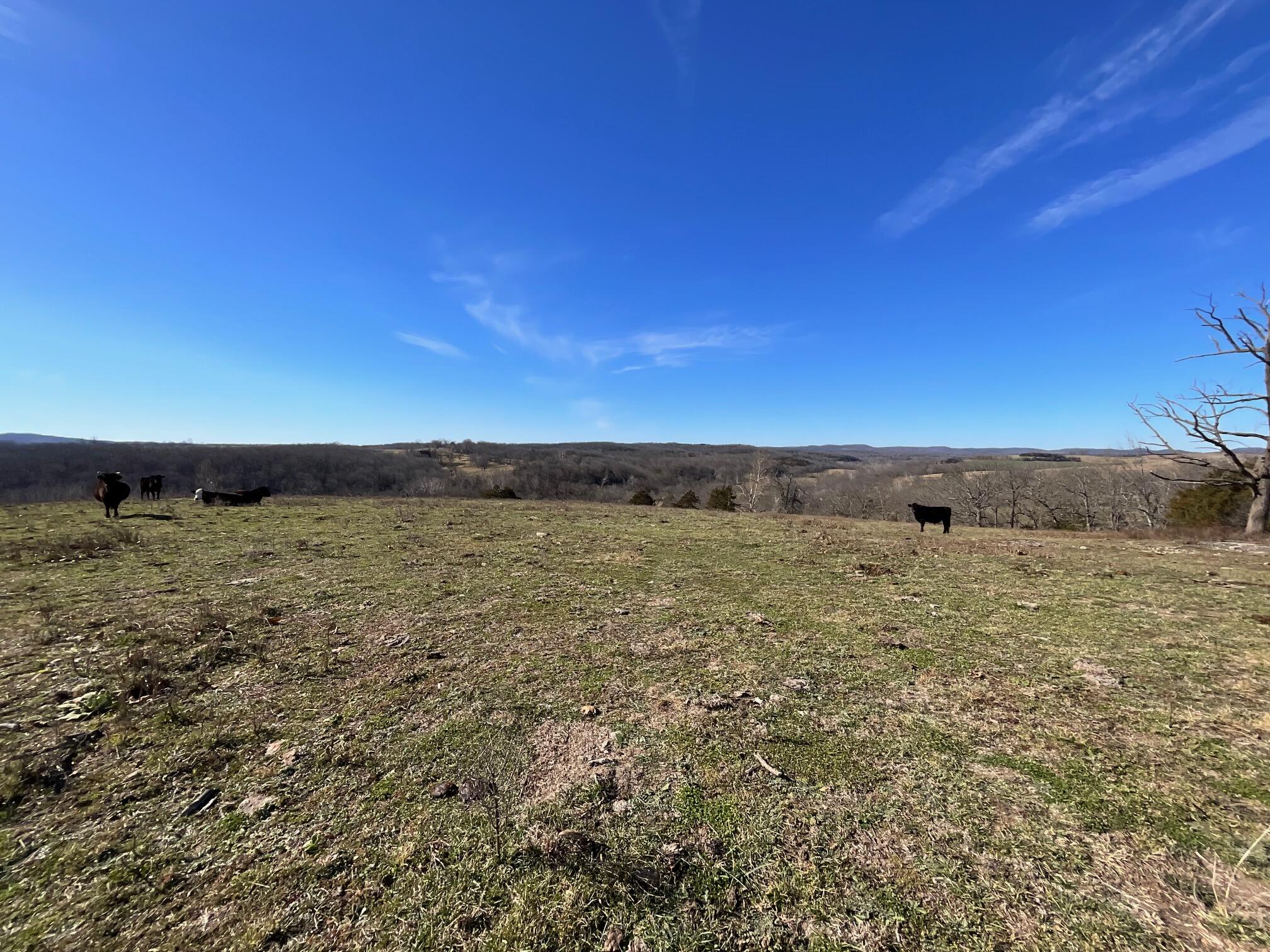 594 County Road 873 Property Photo 1