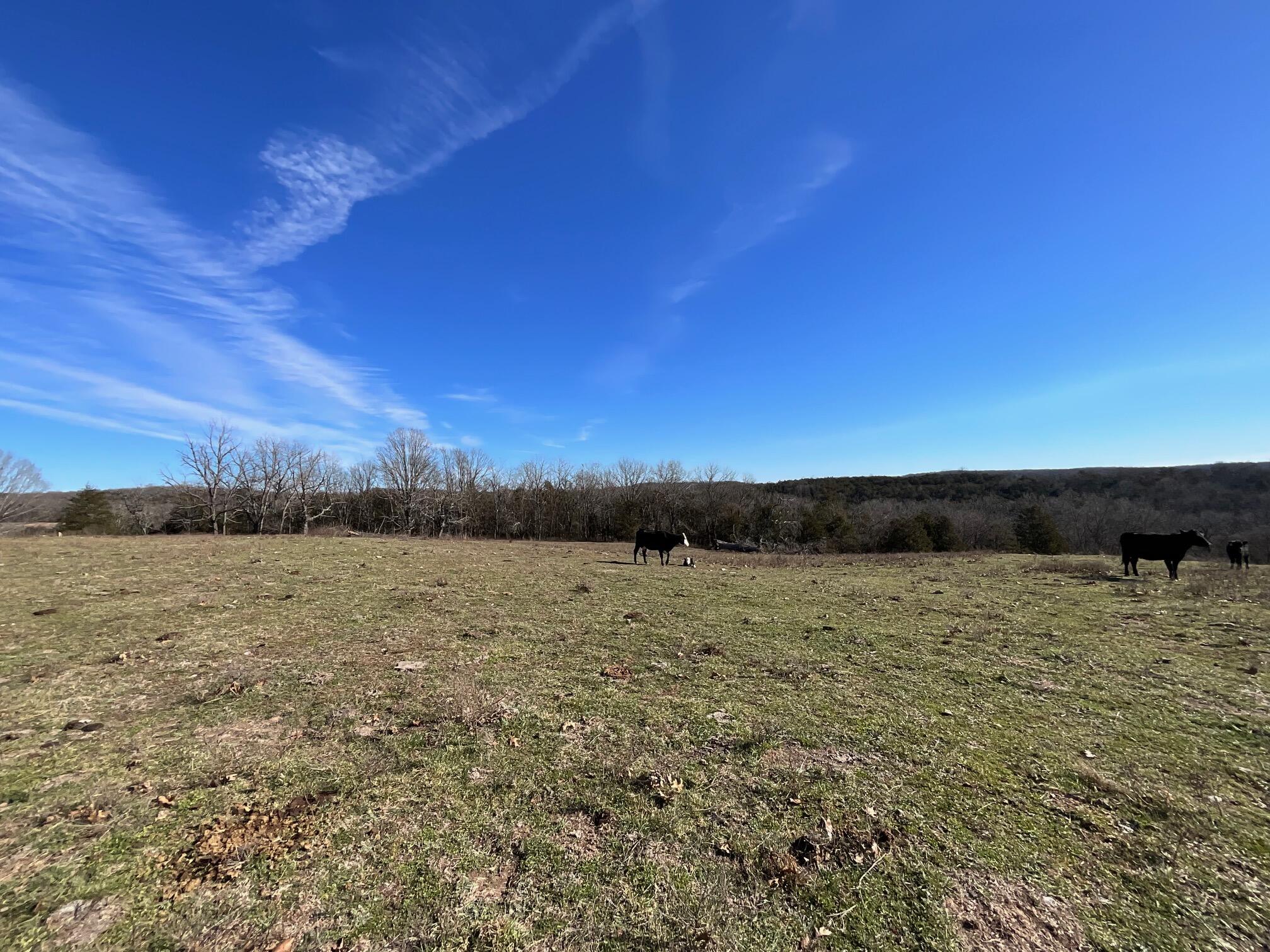 594 County Road 873 Property Photo 4