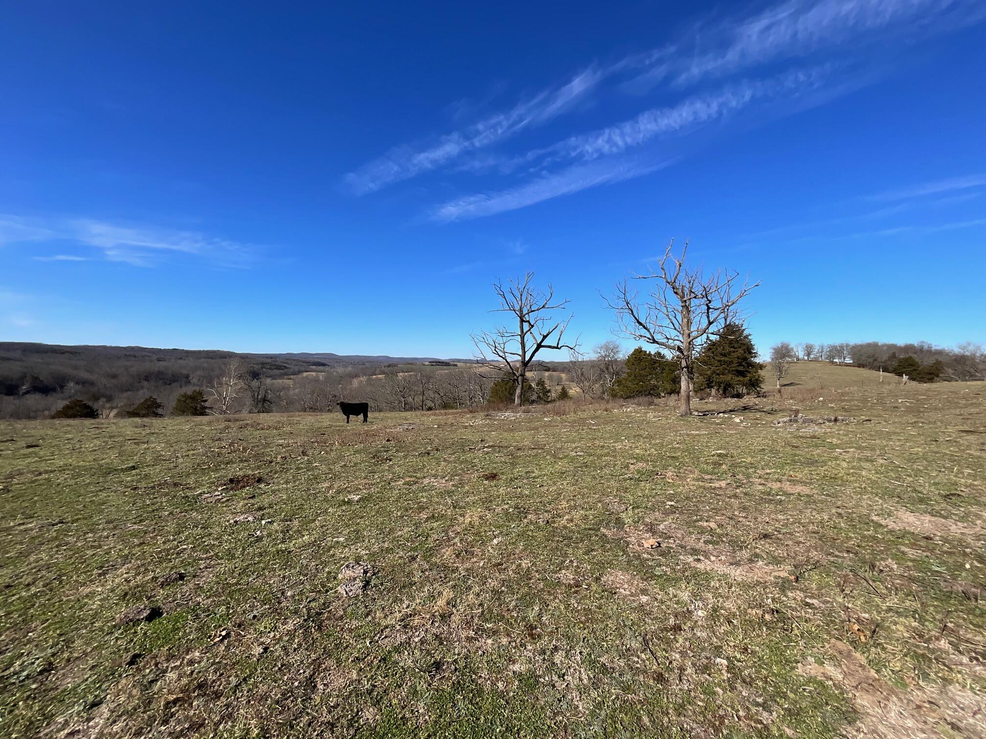 594 County Road 873 Property Photo 7