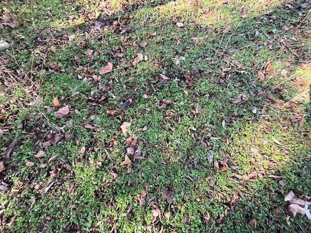 594 County Road 873 Property Photo 20