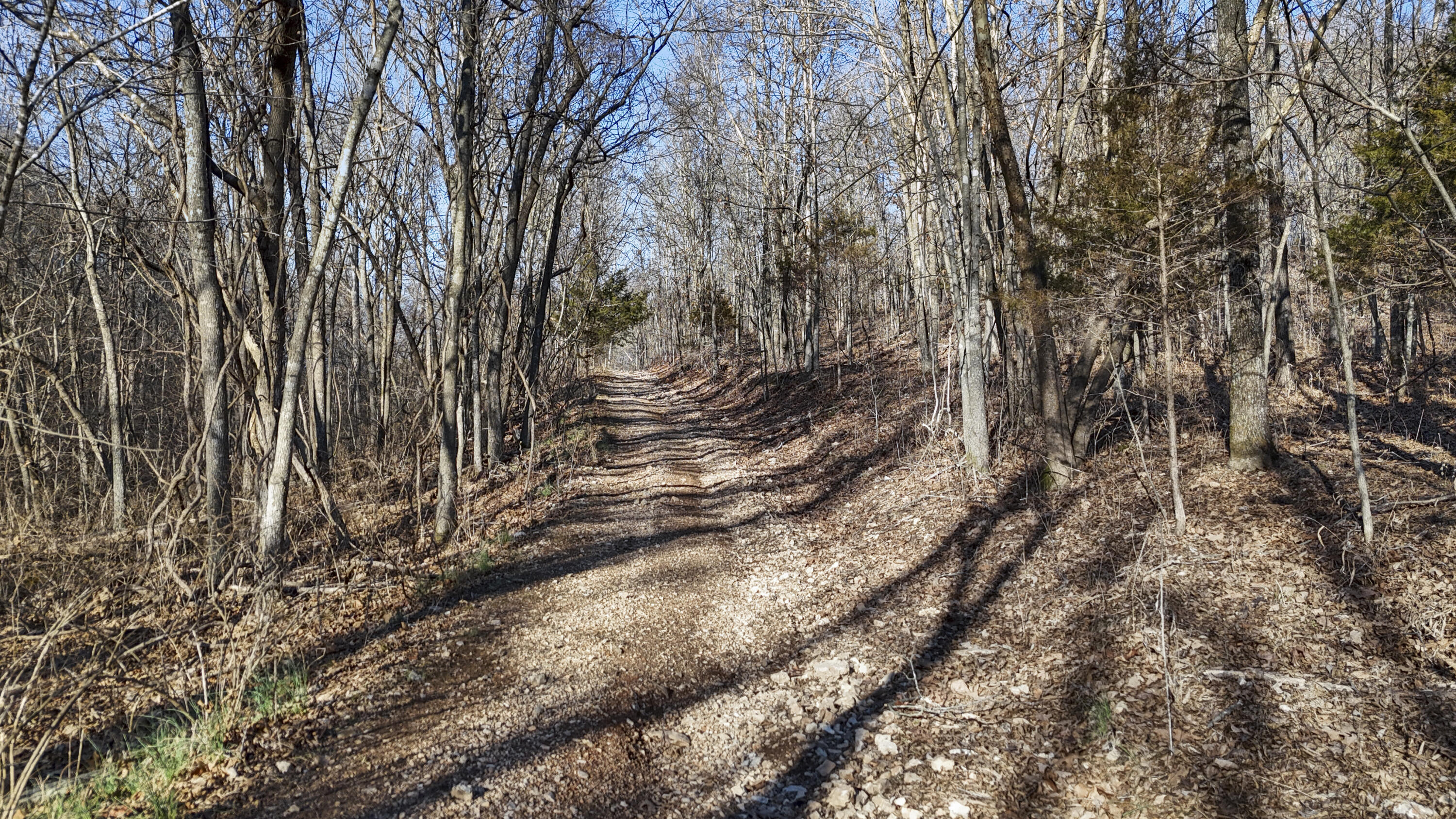 Xoxo Flag Springs Road Property Photo 15