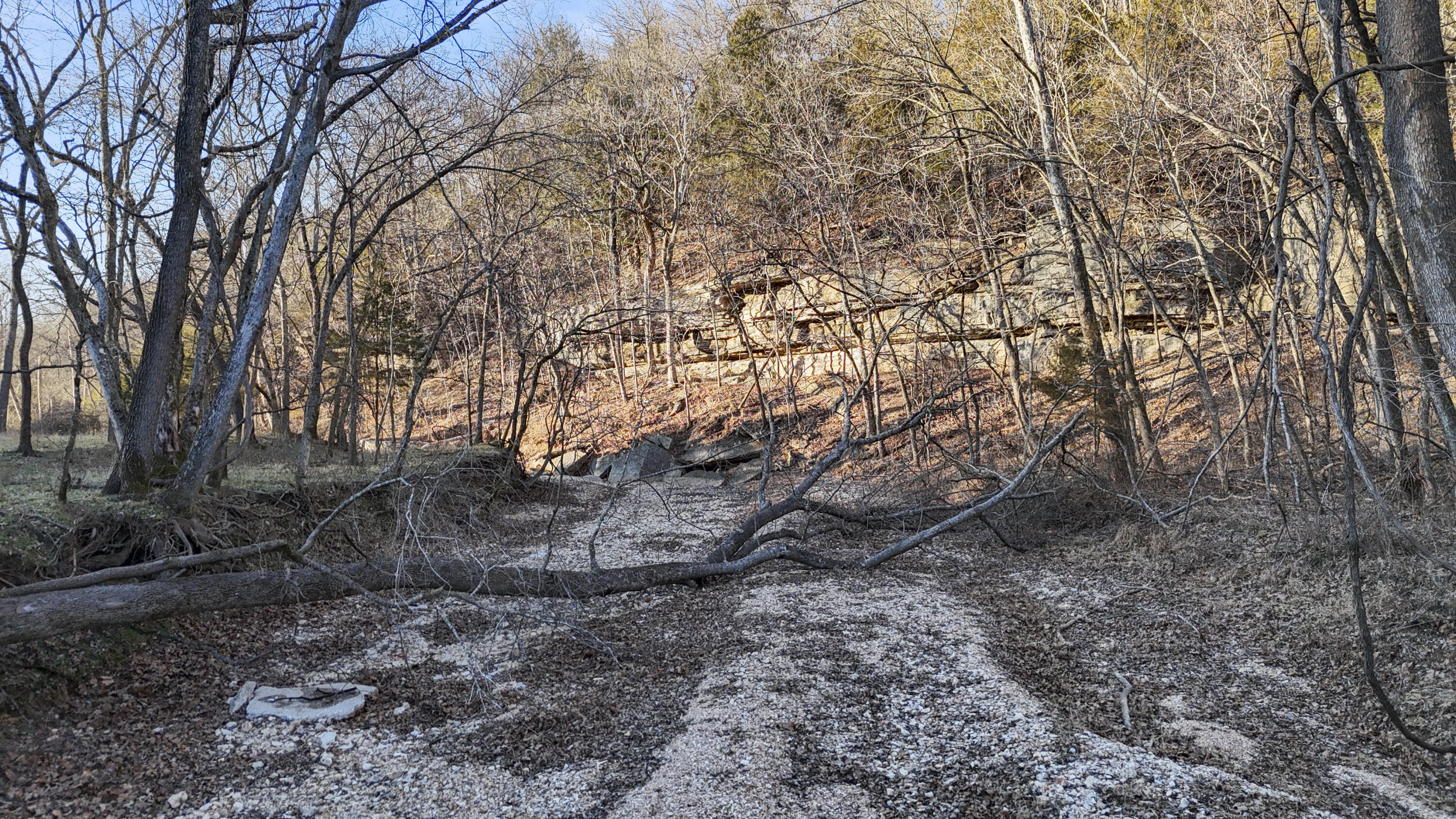 Xoxo Flag Springs Road Property Photo 19