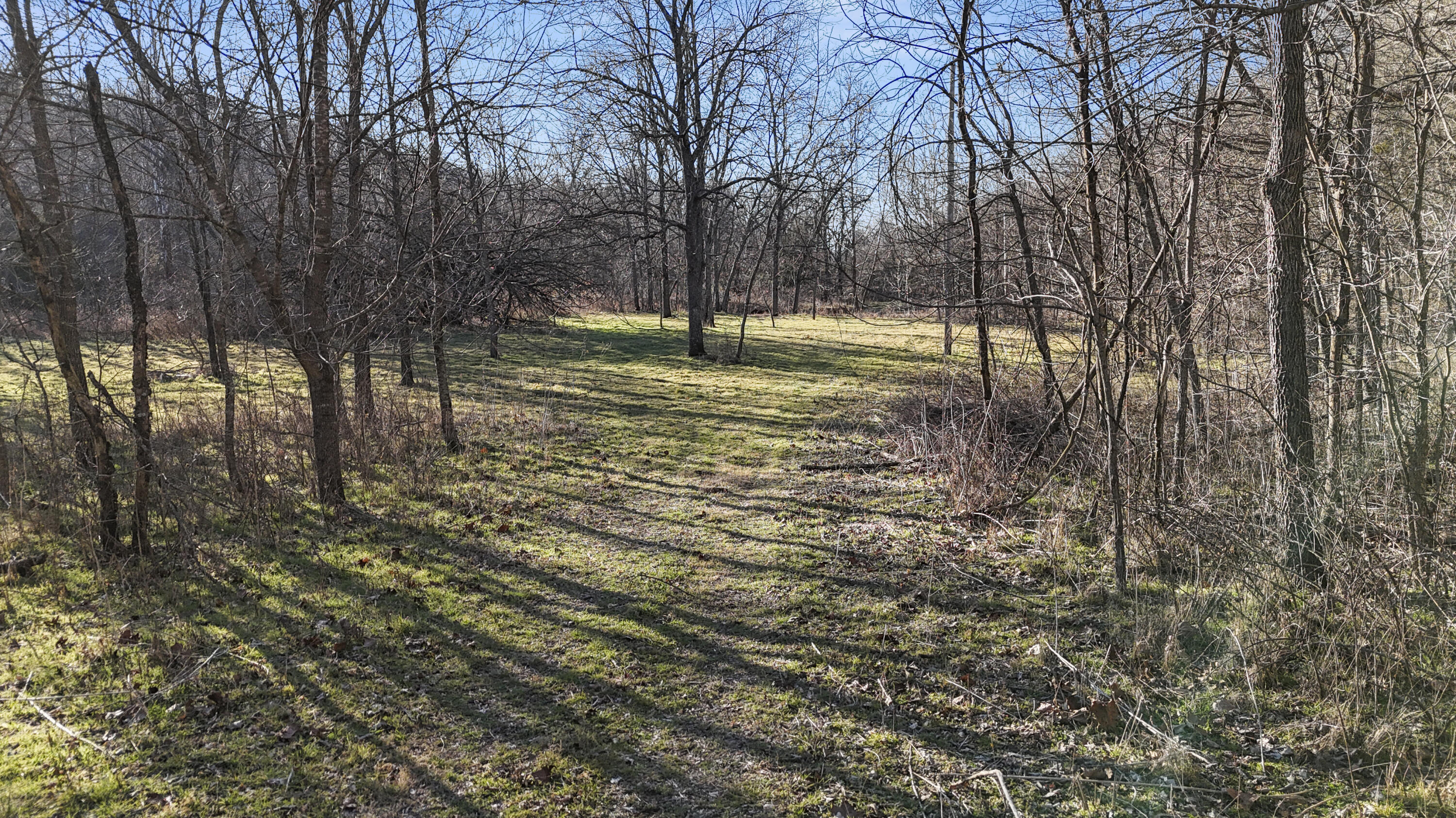 Xoxo Flag Springs Road Property Photo 25