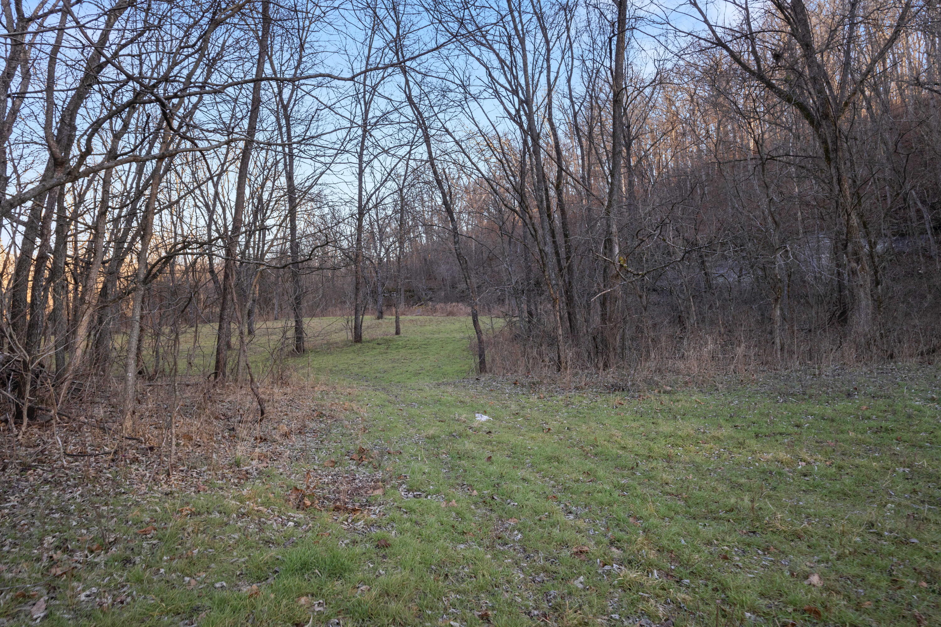 Xoxo Flag Springs Road Property Photo 29
