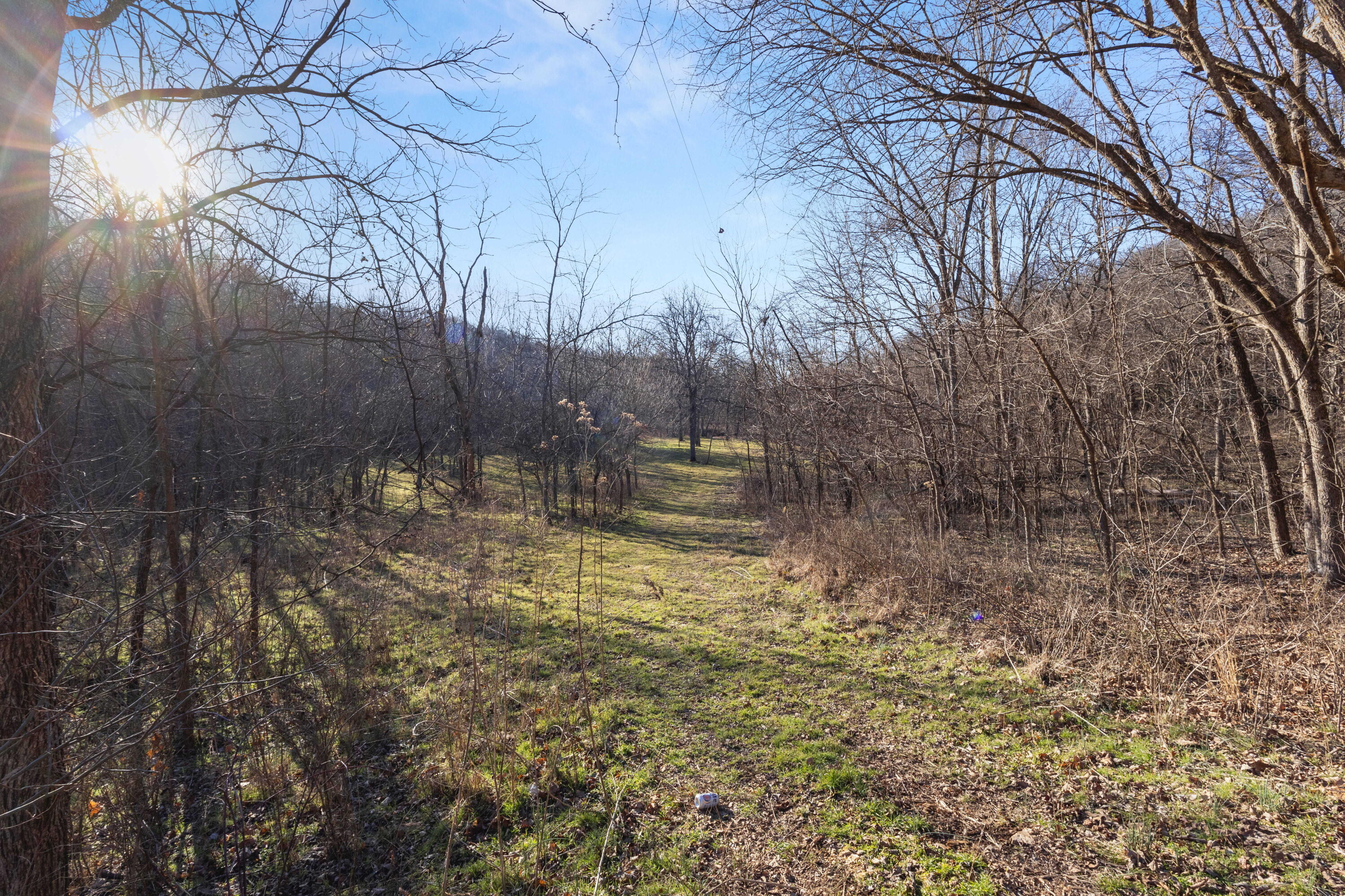 Xoxo Flag Springs Road Property Photo 33