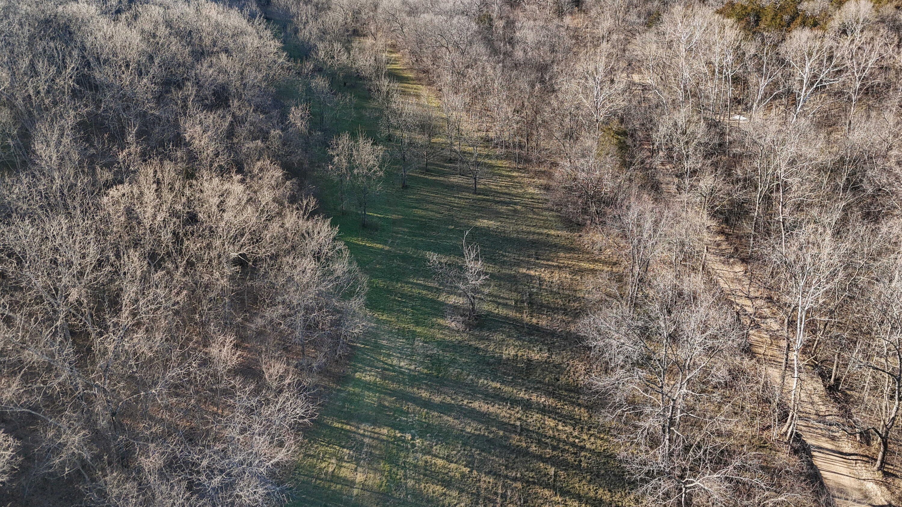Xoxo Flag Springs Road Property Photo 34