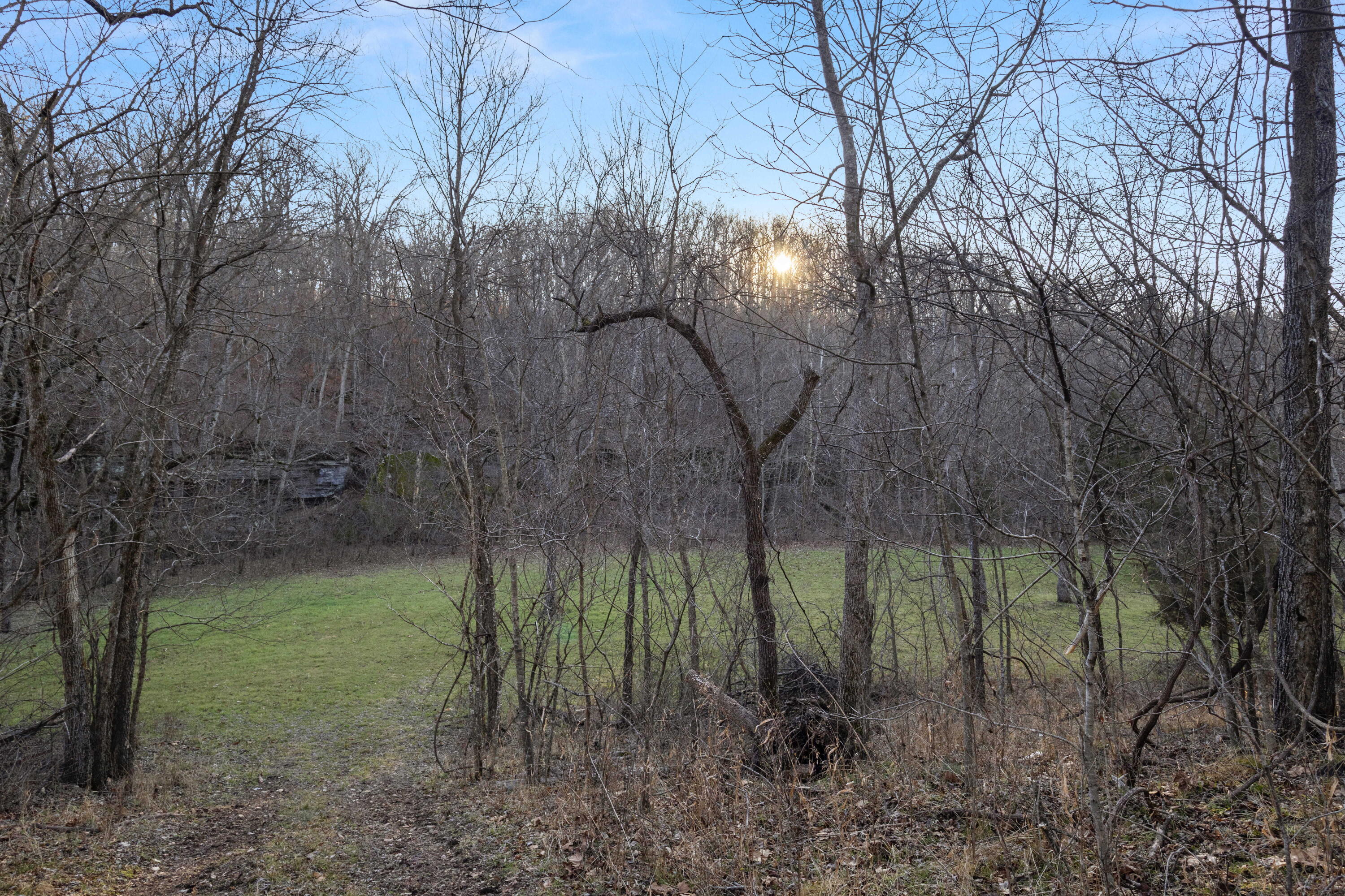 Xoxo Flag Springs Road Property Photo 38