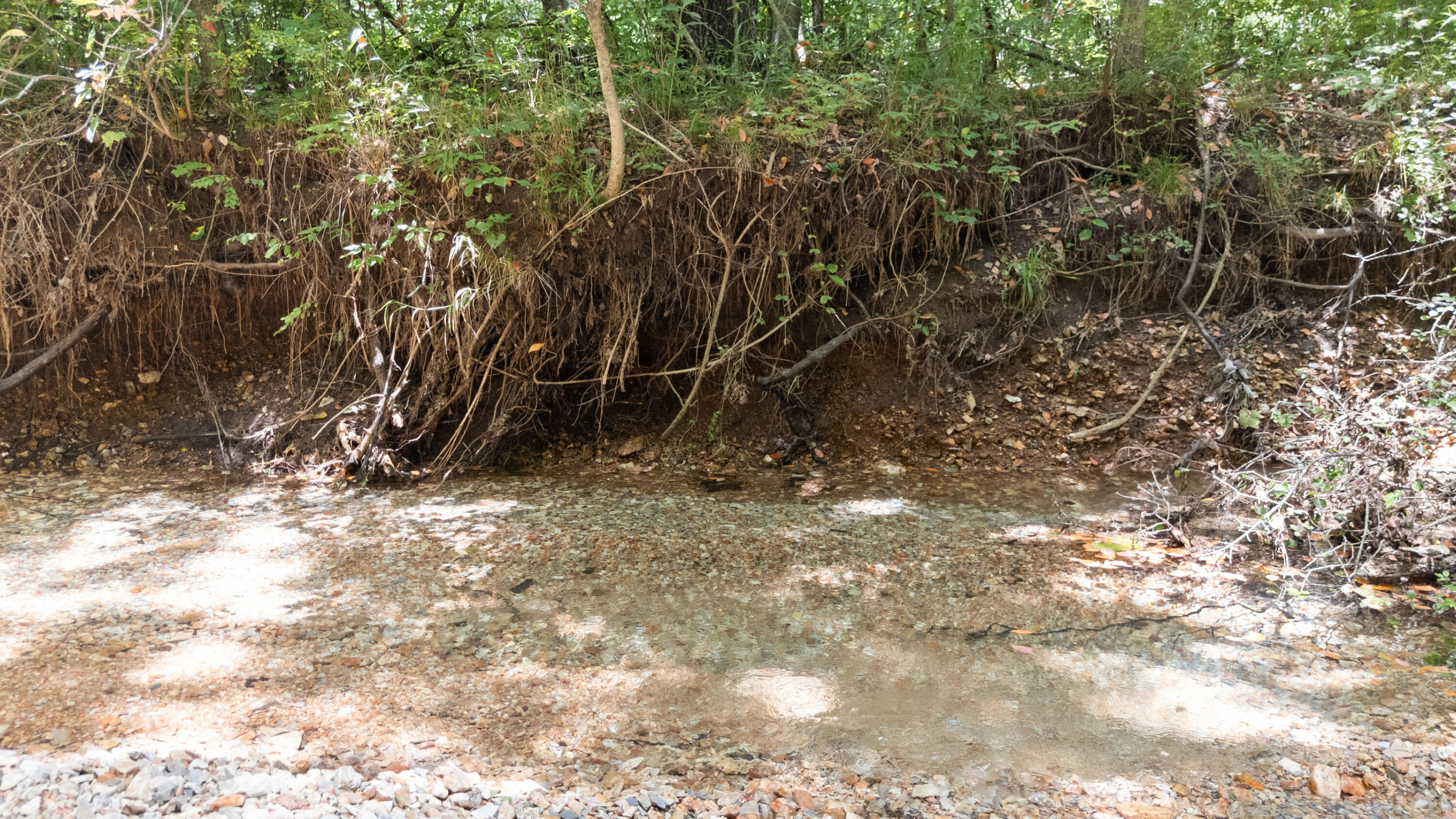 Xoxo Flag Springs Road Property Photo 45