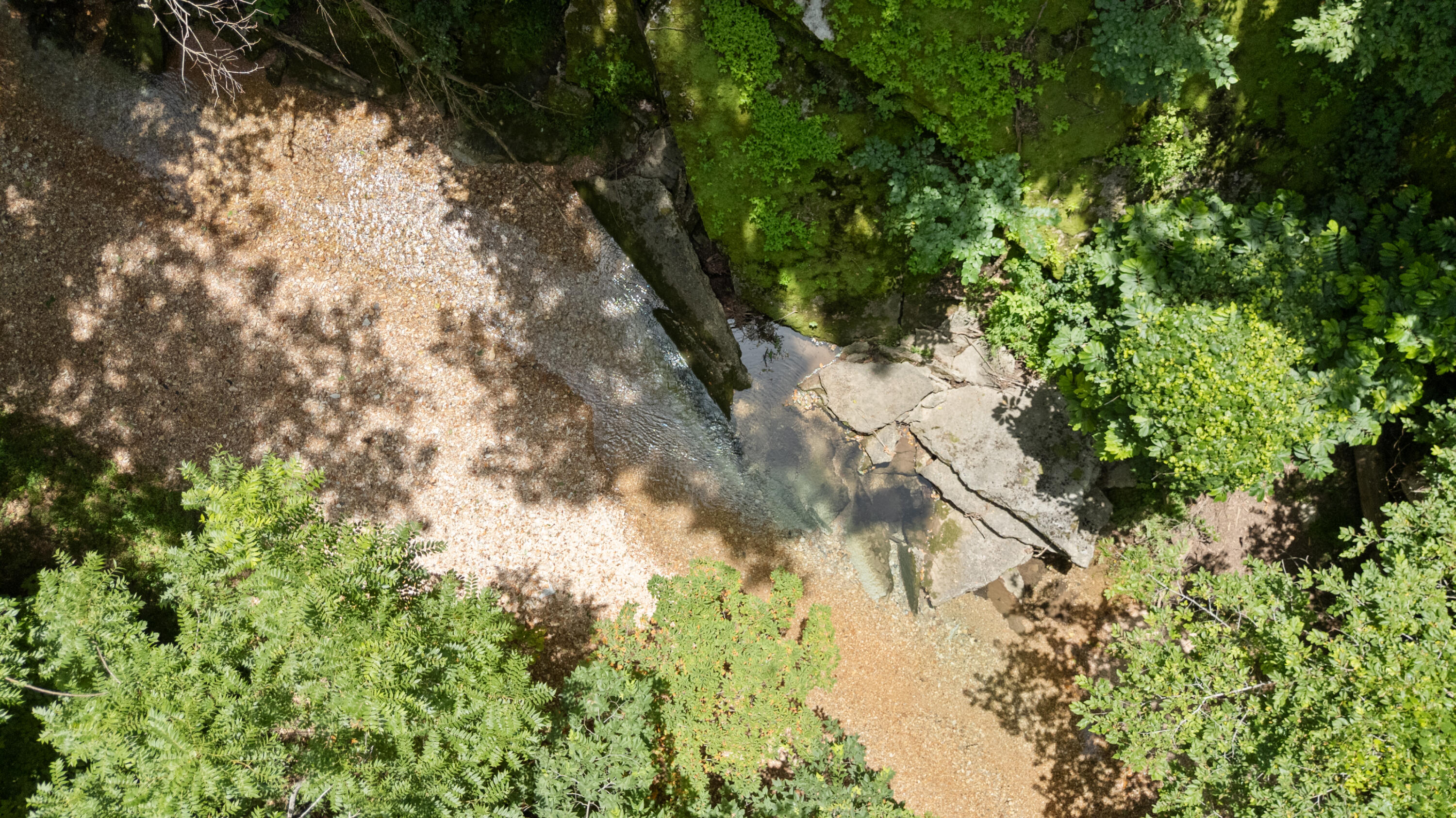 Xoxo Flag Springs Road Property Photo 54