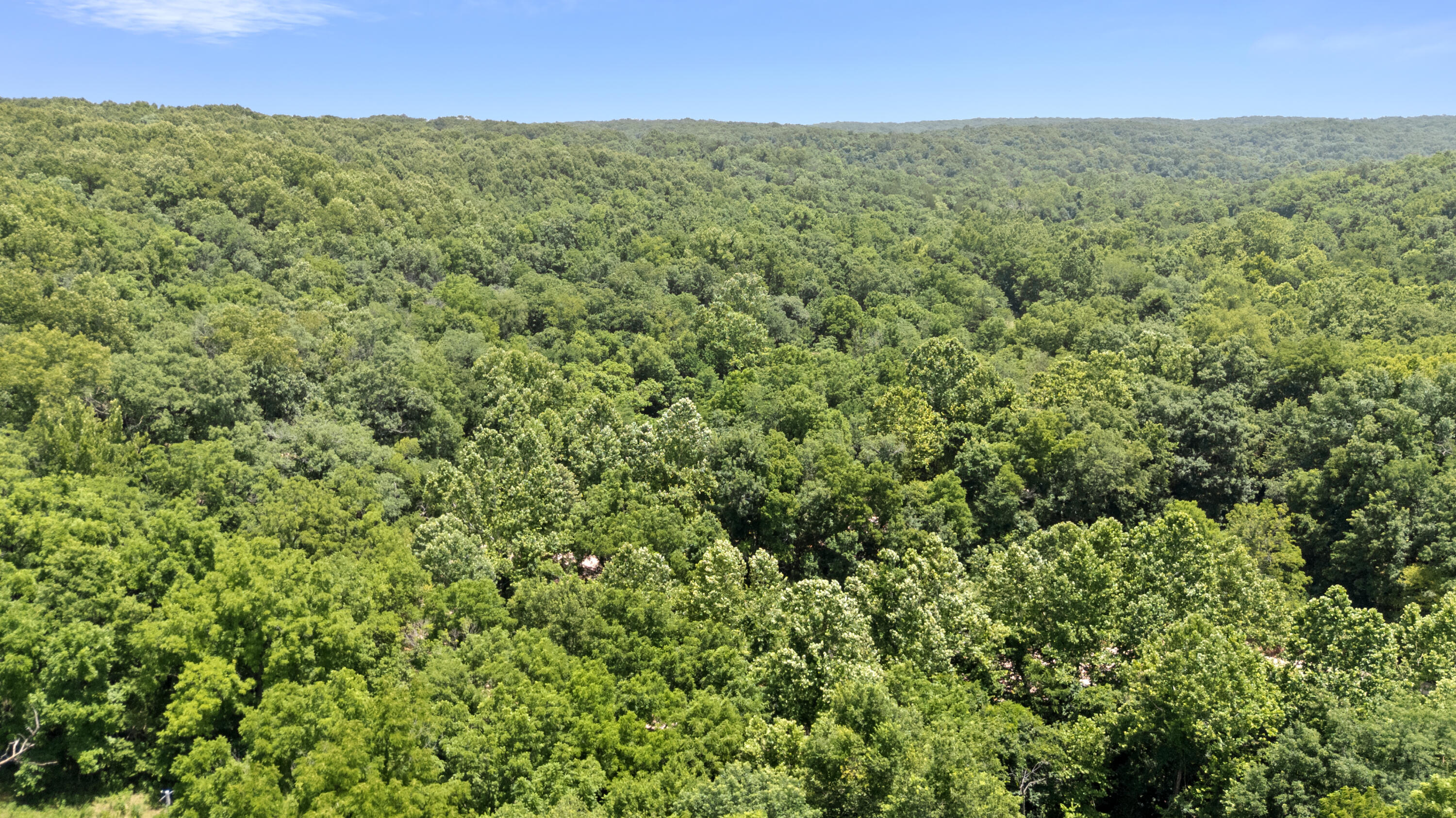 Xoxo Flag Springs Road Property Photo 55