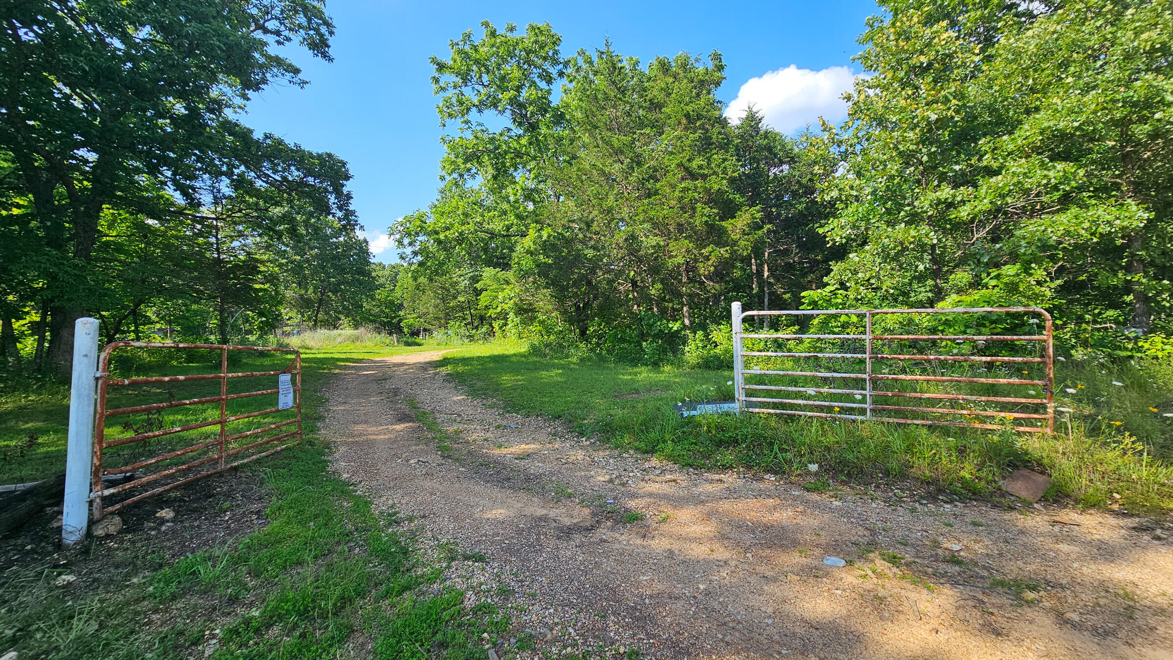 65 Gunslinger Drive Property Photo 5