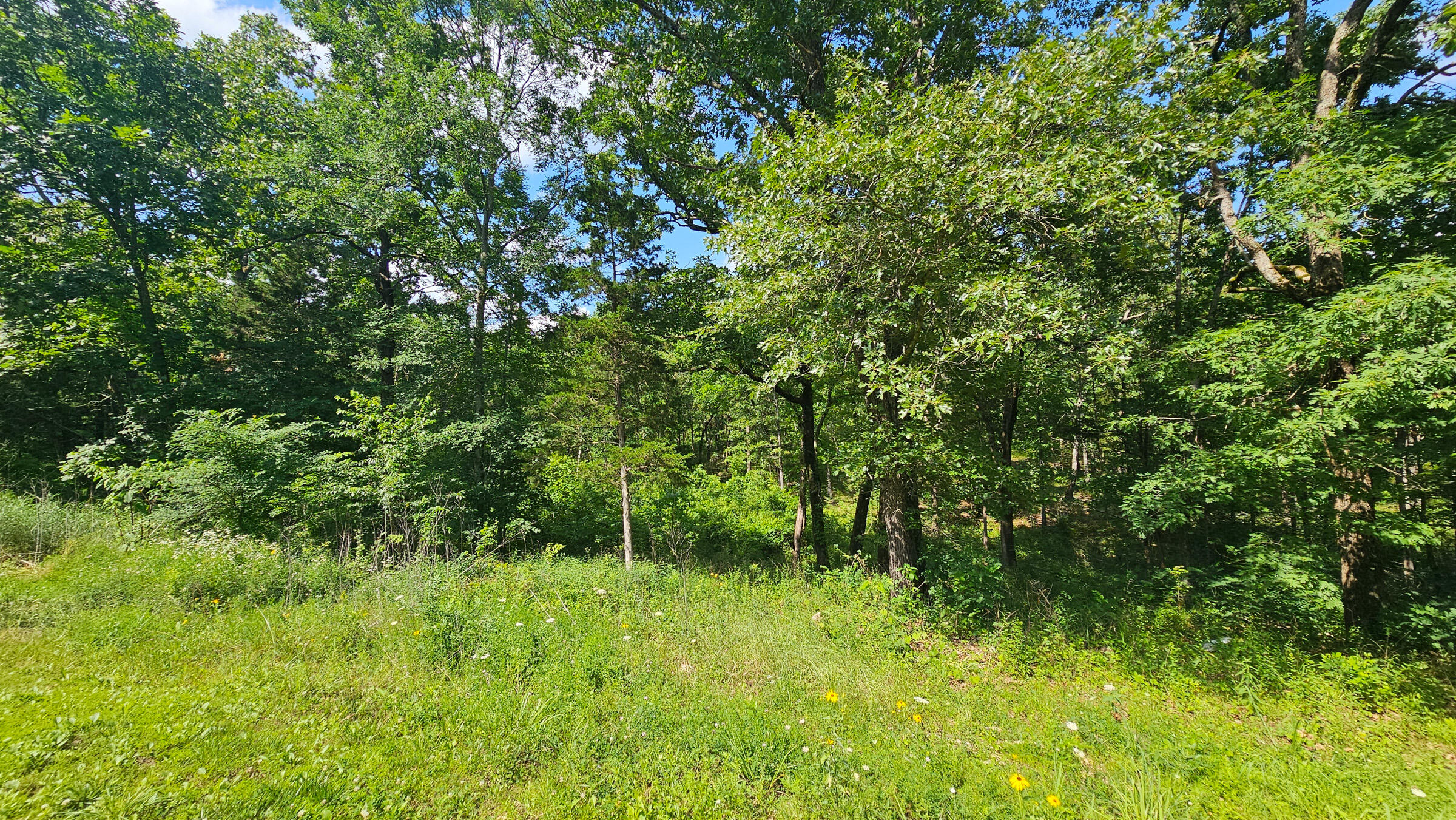 65 Gunslinger Drive Property Photo 15