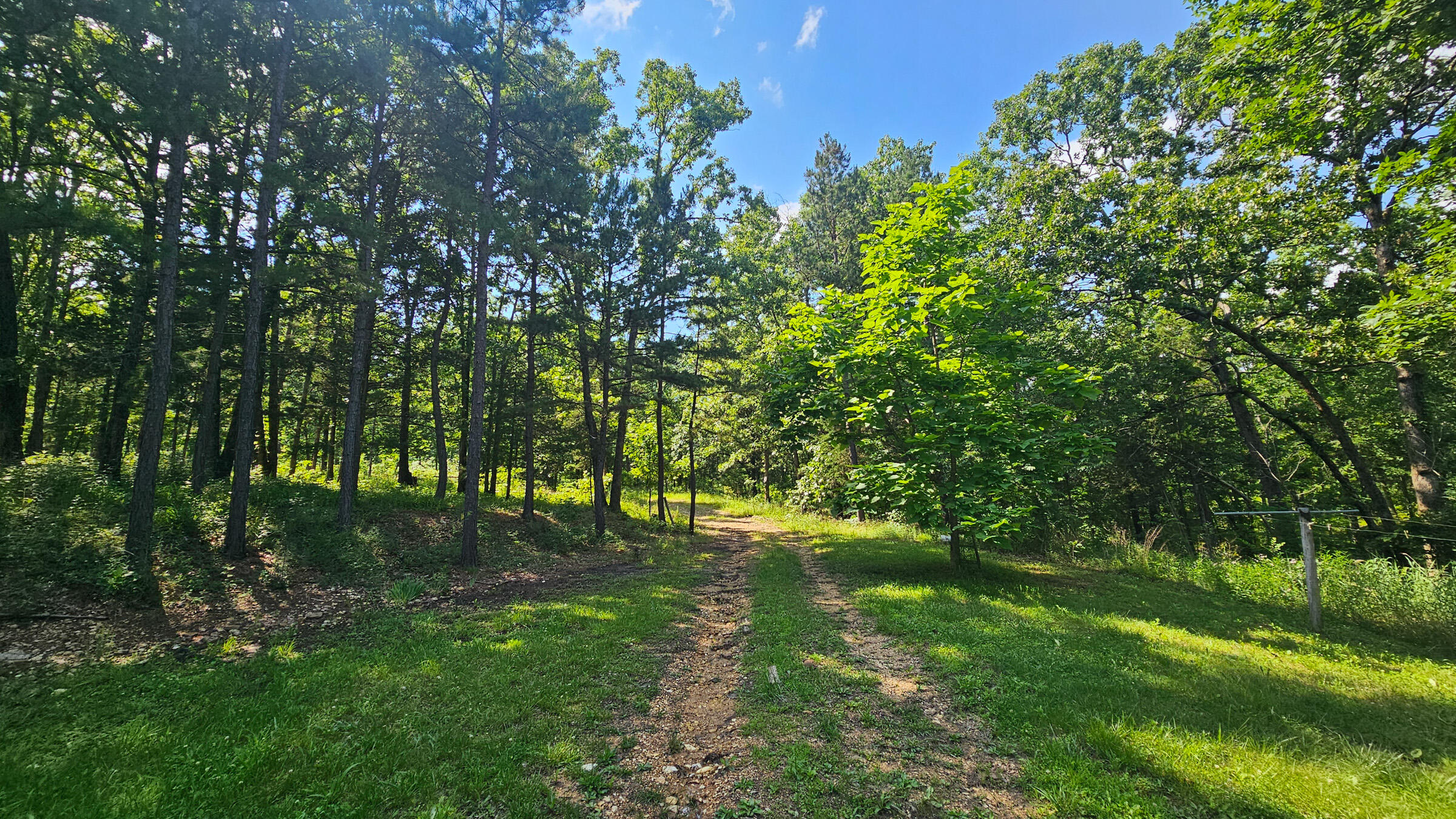 65 Gunslinger Drive Property Photo 16