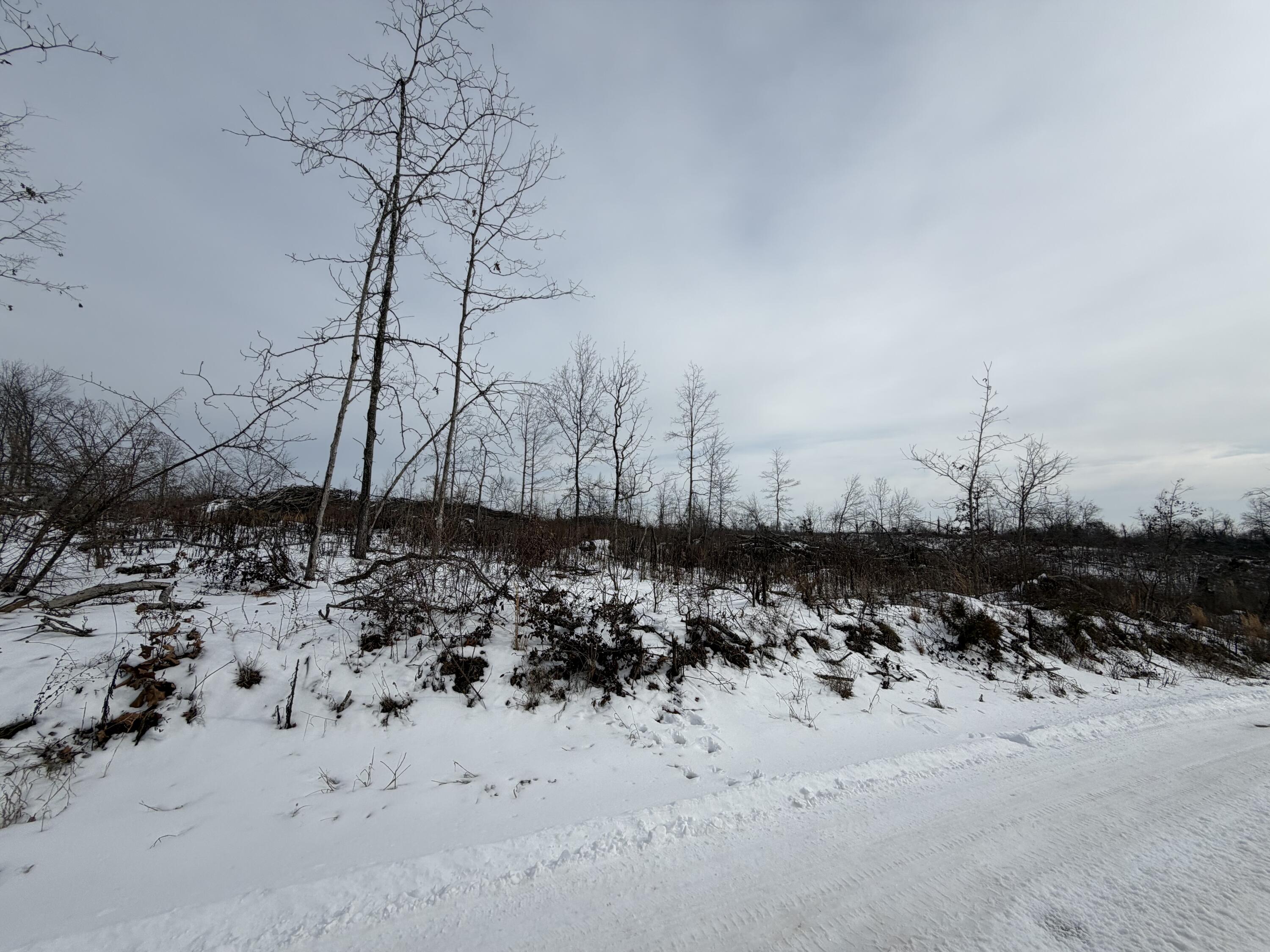 0000 County Road 3500 Property Photo 6