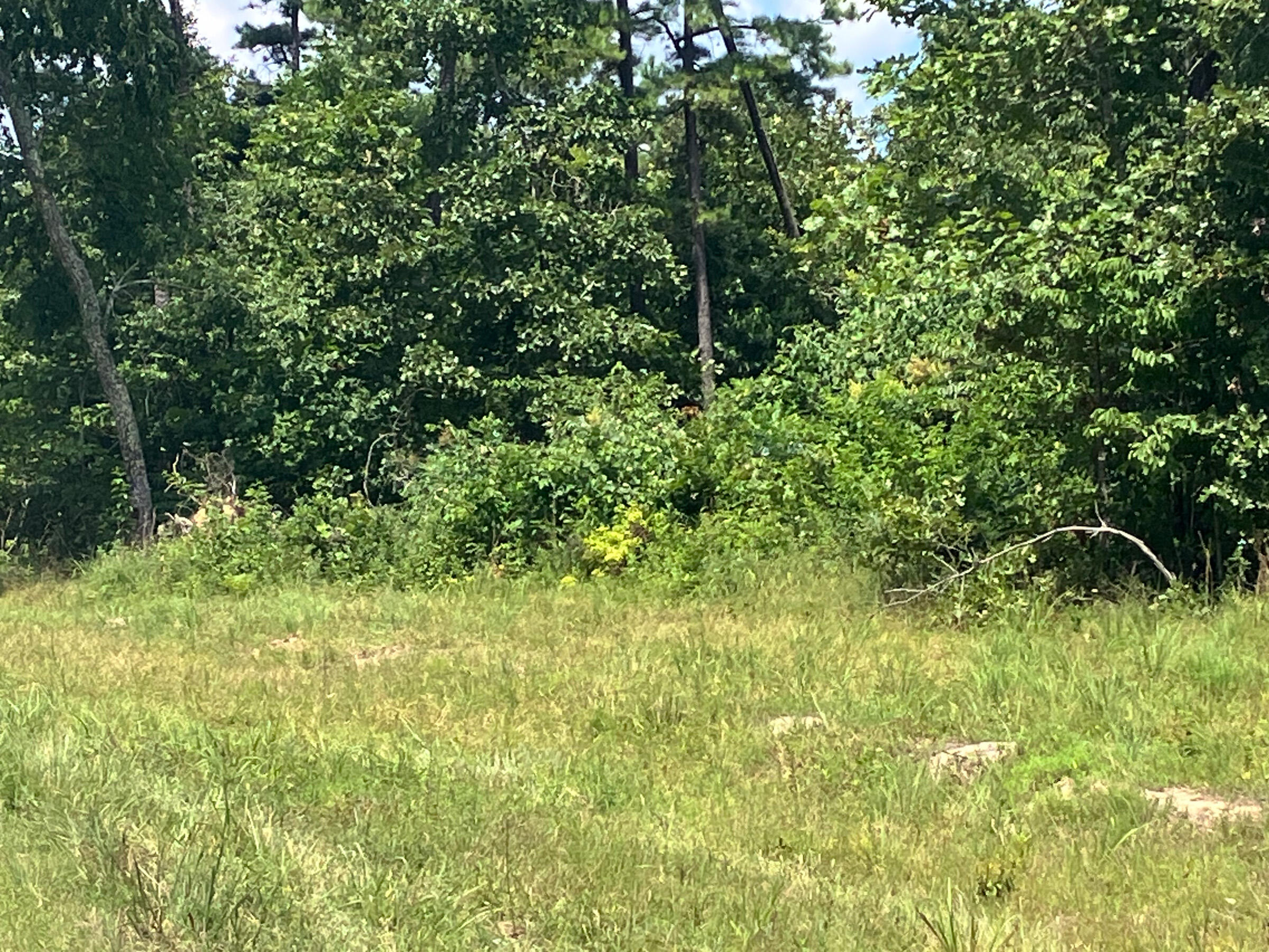 7187 Highway Kk Property Photo 5