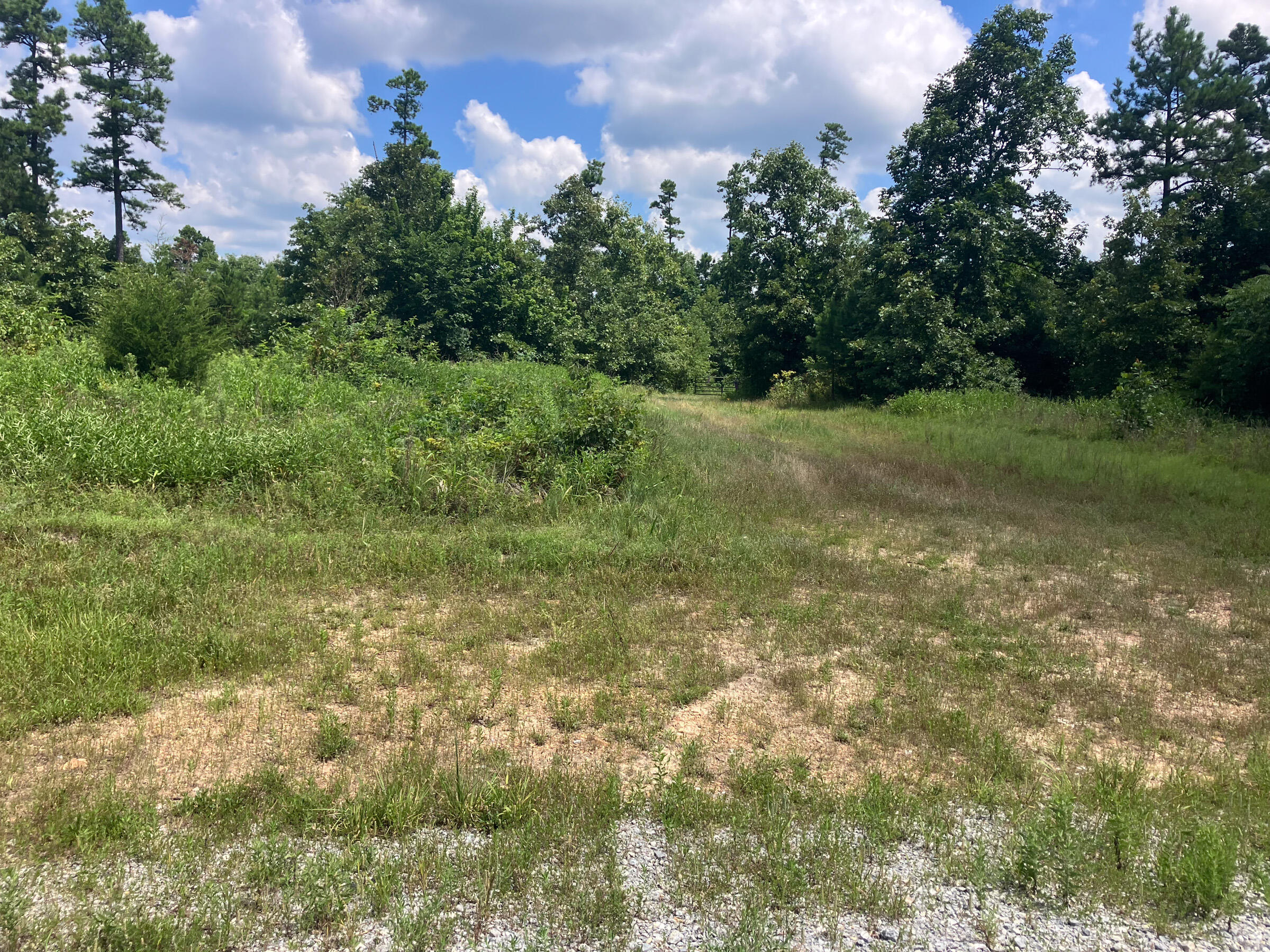 7187 Highway Kk Property Photo 7
