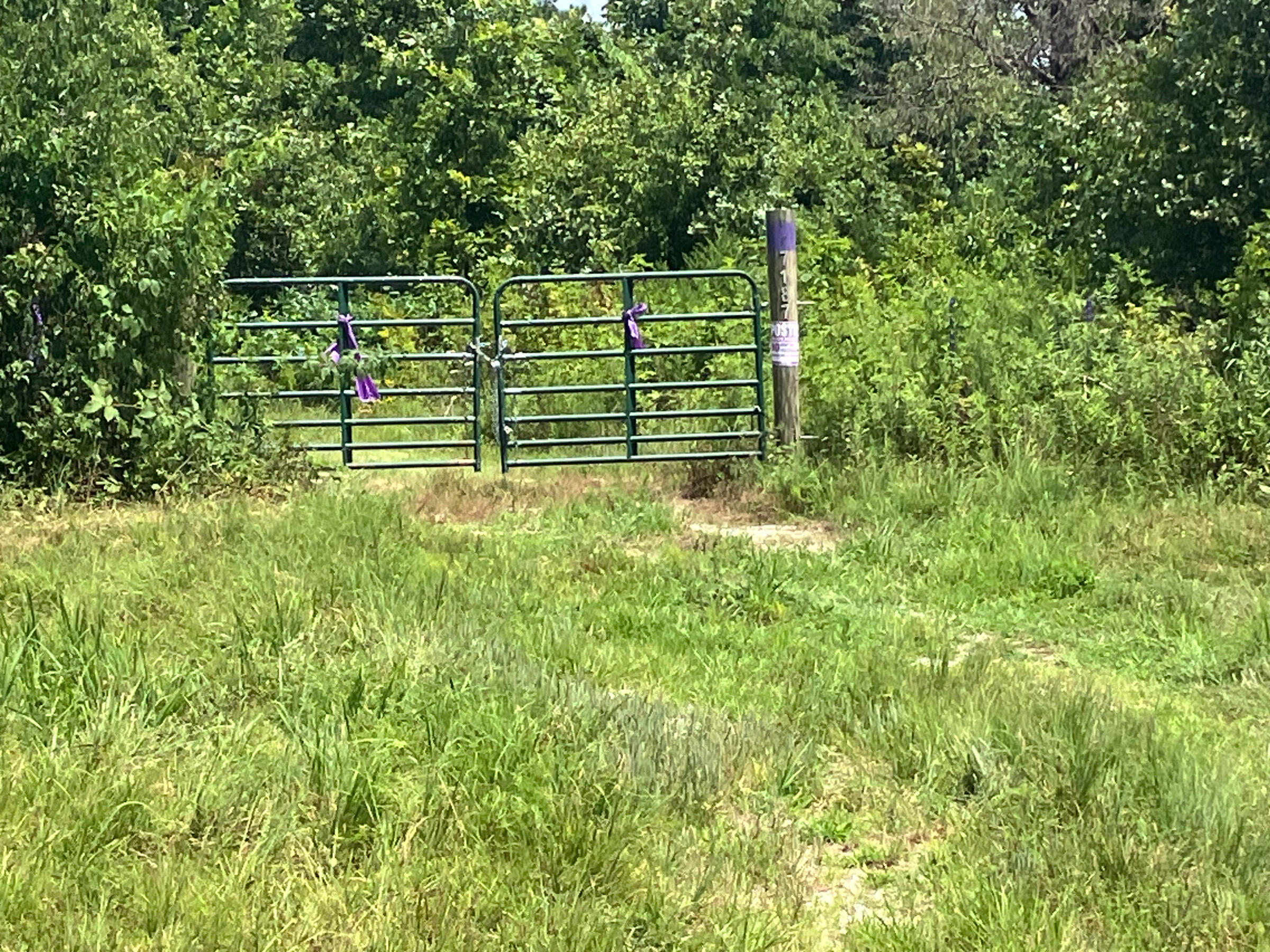 7187 Highway Kk Property Photo 8