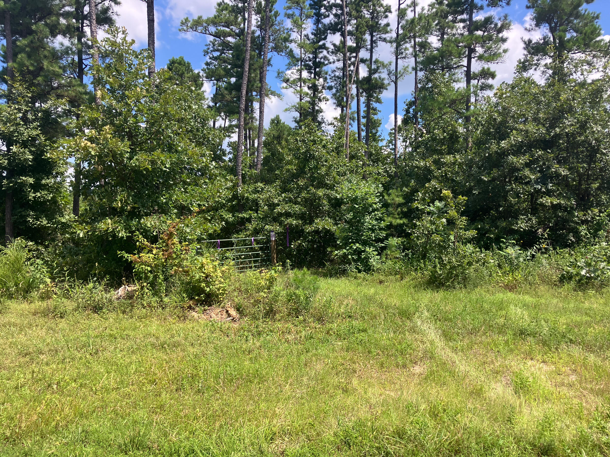 7187 Highway Kk Property Photo 9