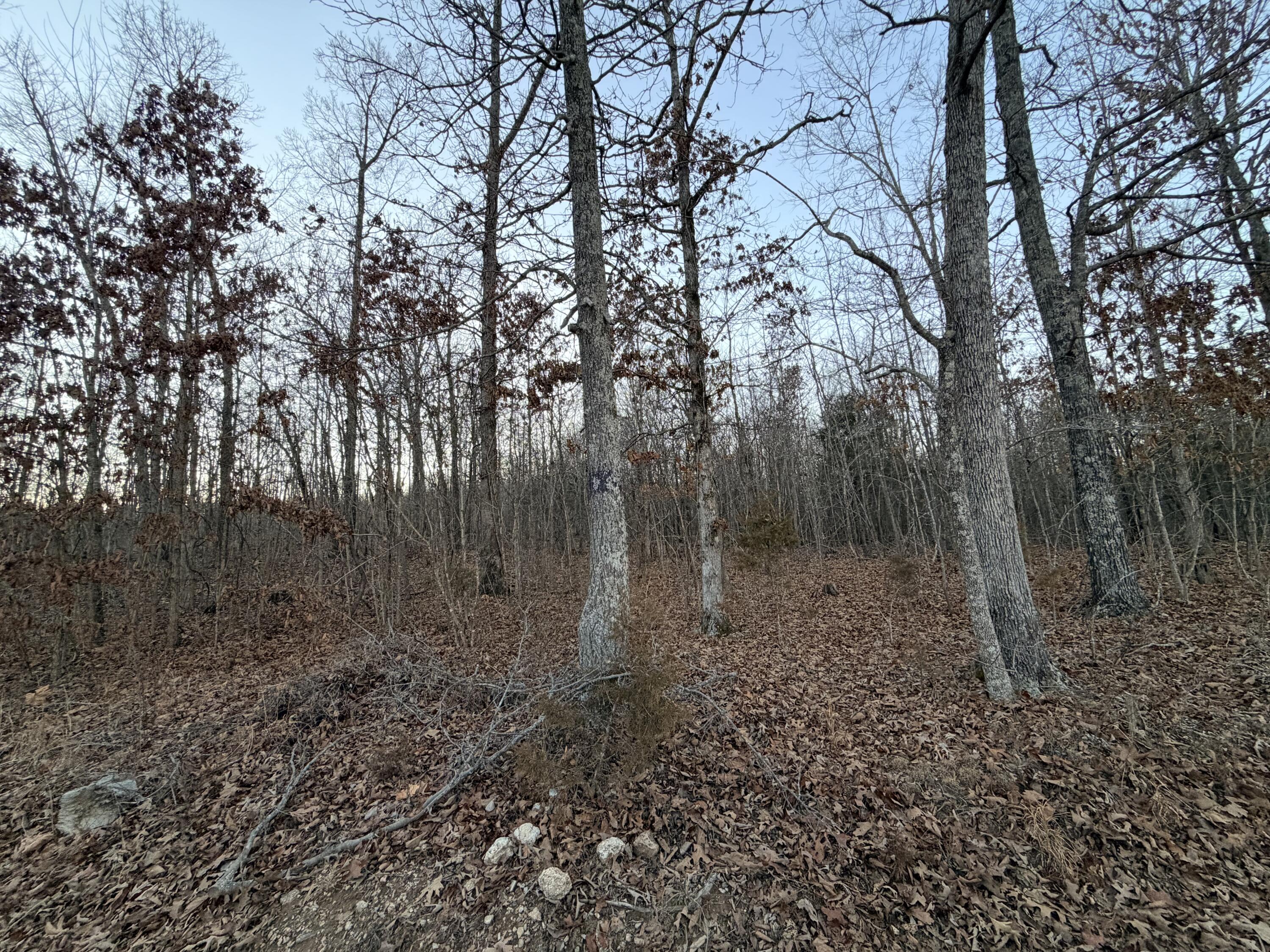 000 County Road 204 Property Photo 1