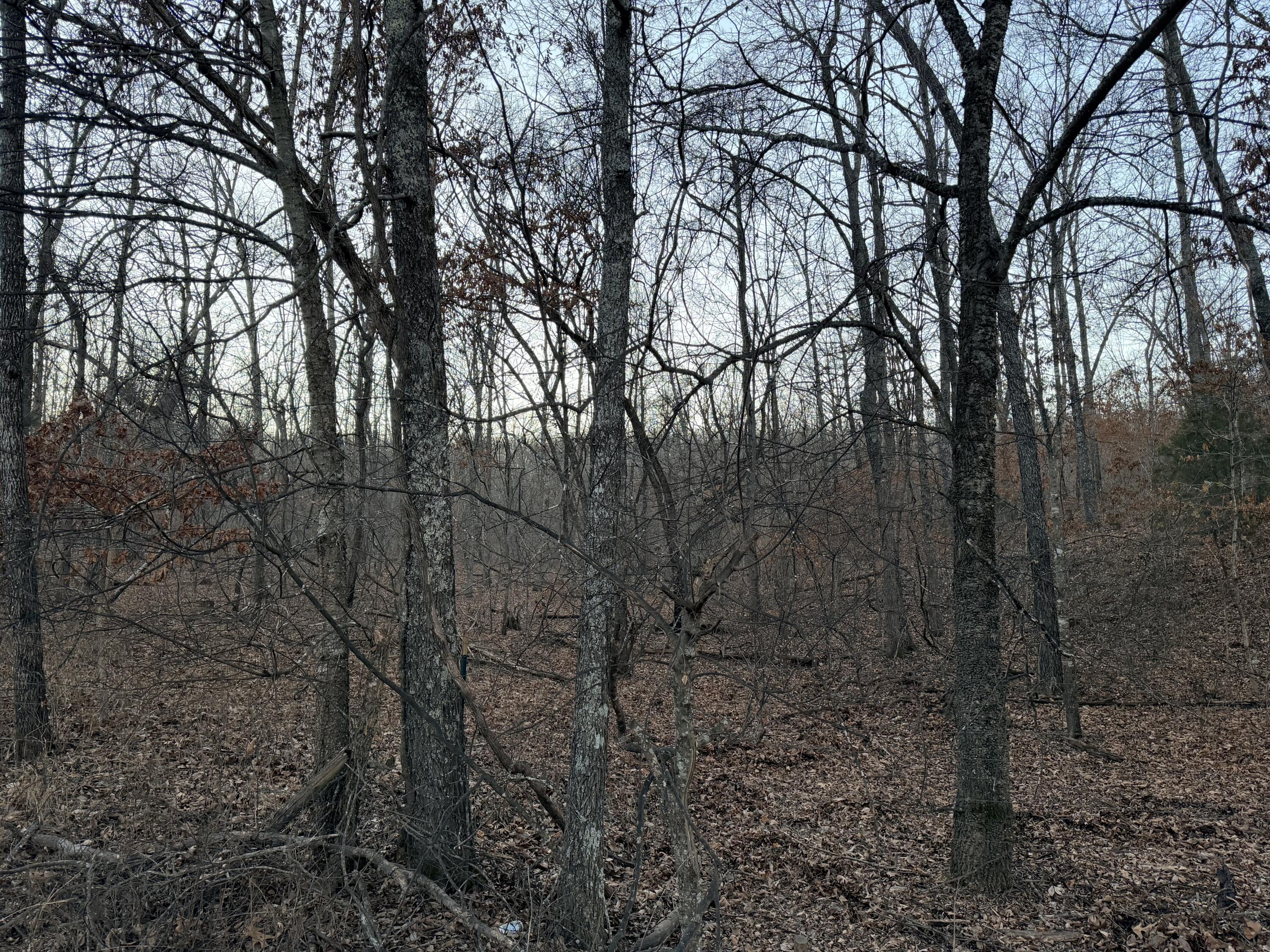 000 County Road 204 Property Photo 2