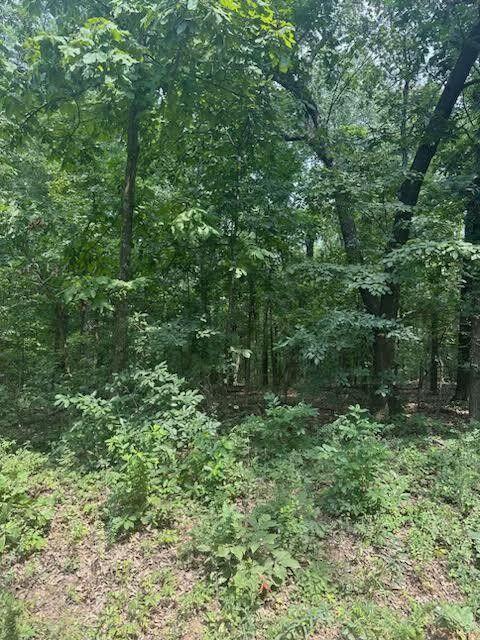 000 Private Road Cc-200 Property Photo 1