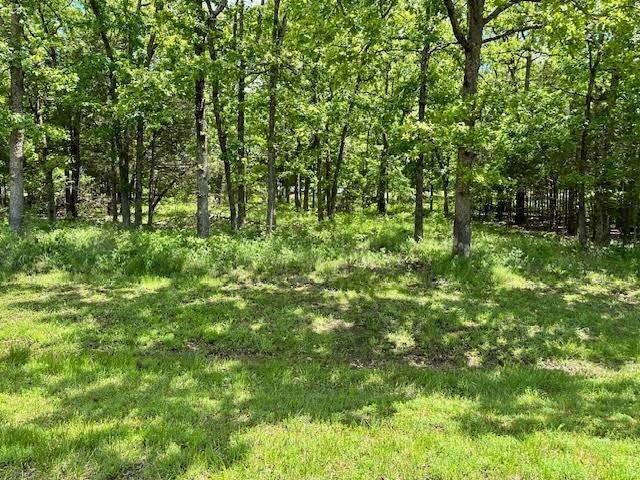 323 West Green Valley Drive Property Photo 4
