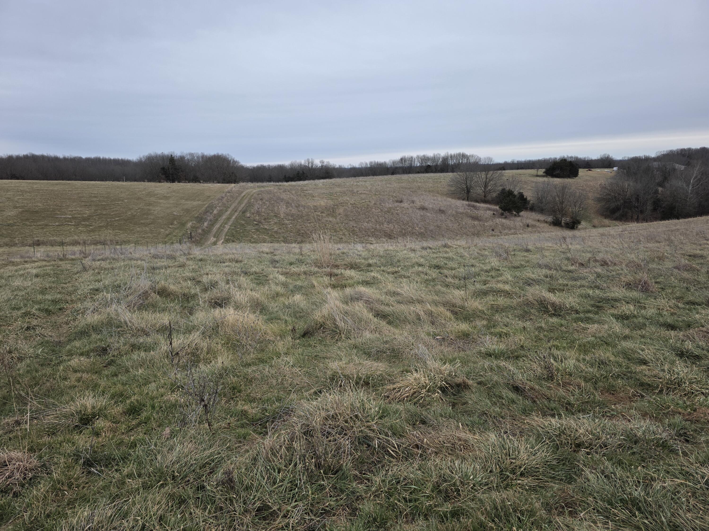 000 Farm Road 2080 Property Photo 4