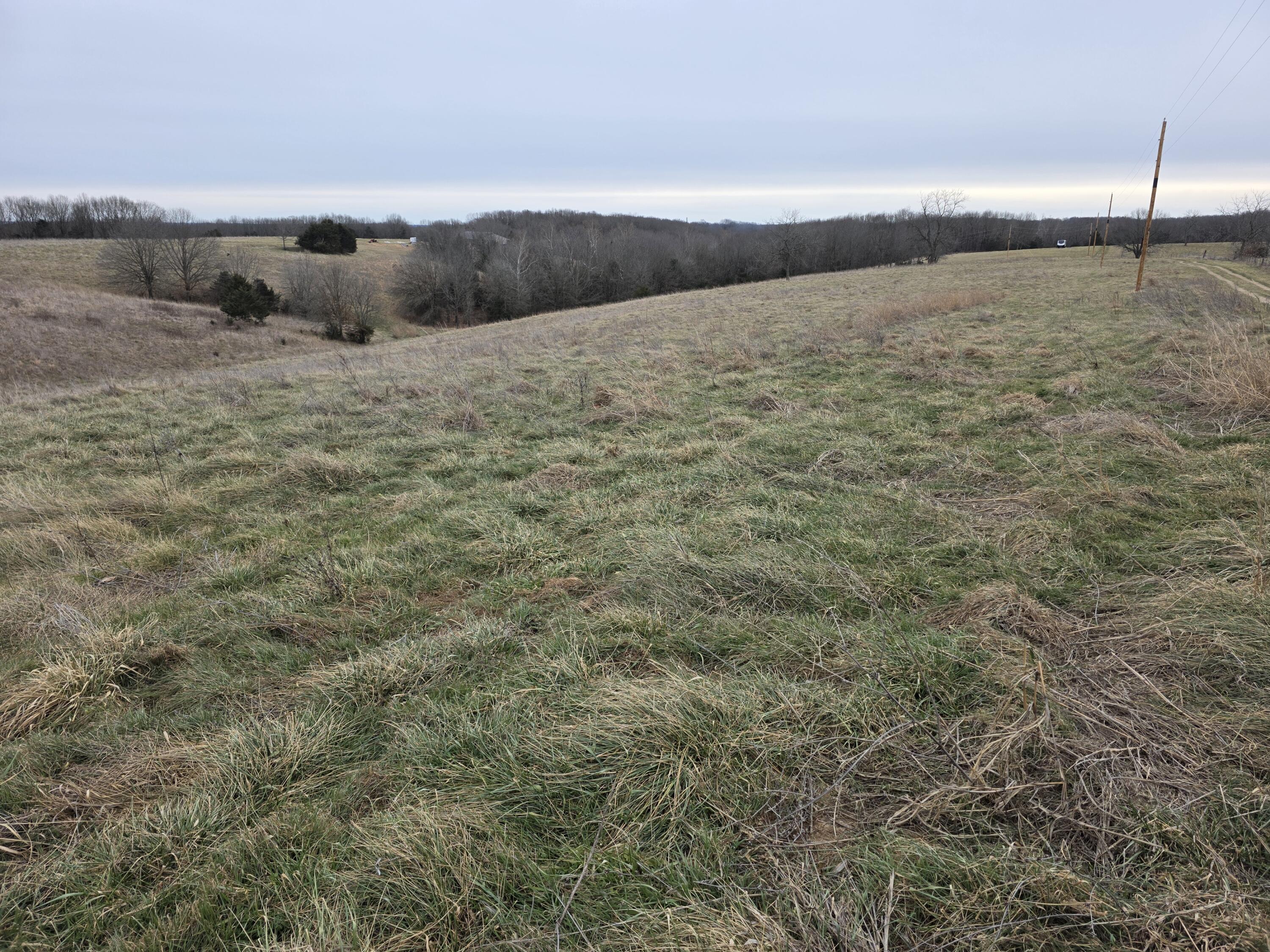 000 Farm Road 2080 Property Photo 5