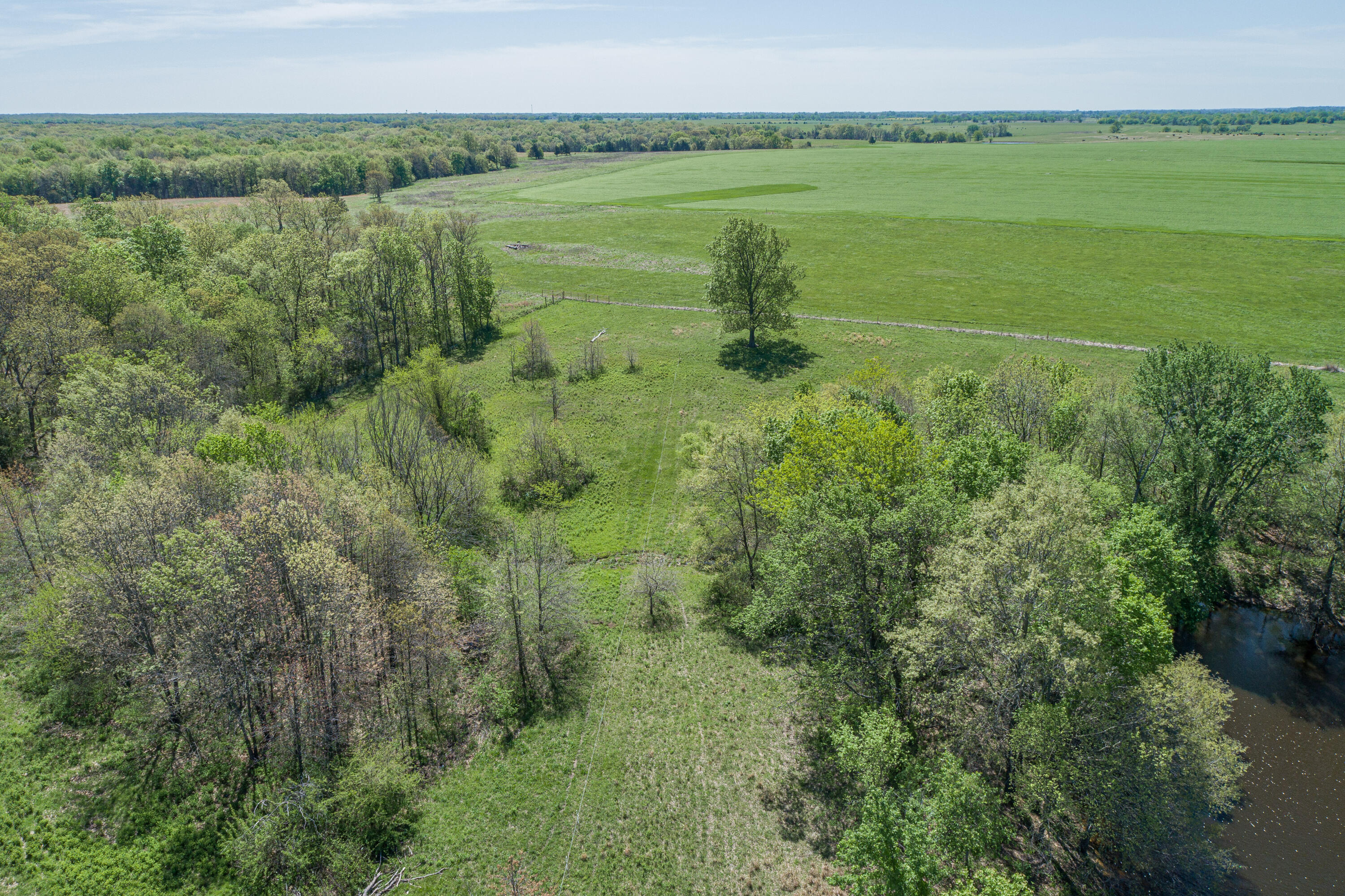15959 County Road 121 Property Photo 50