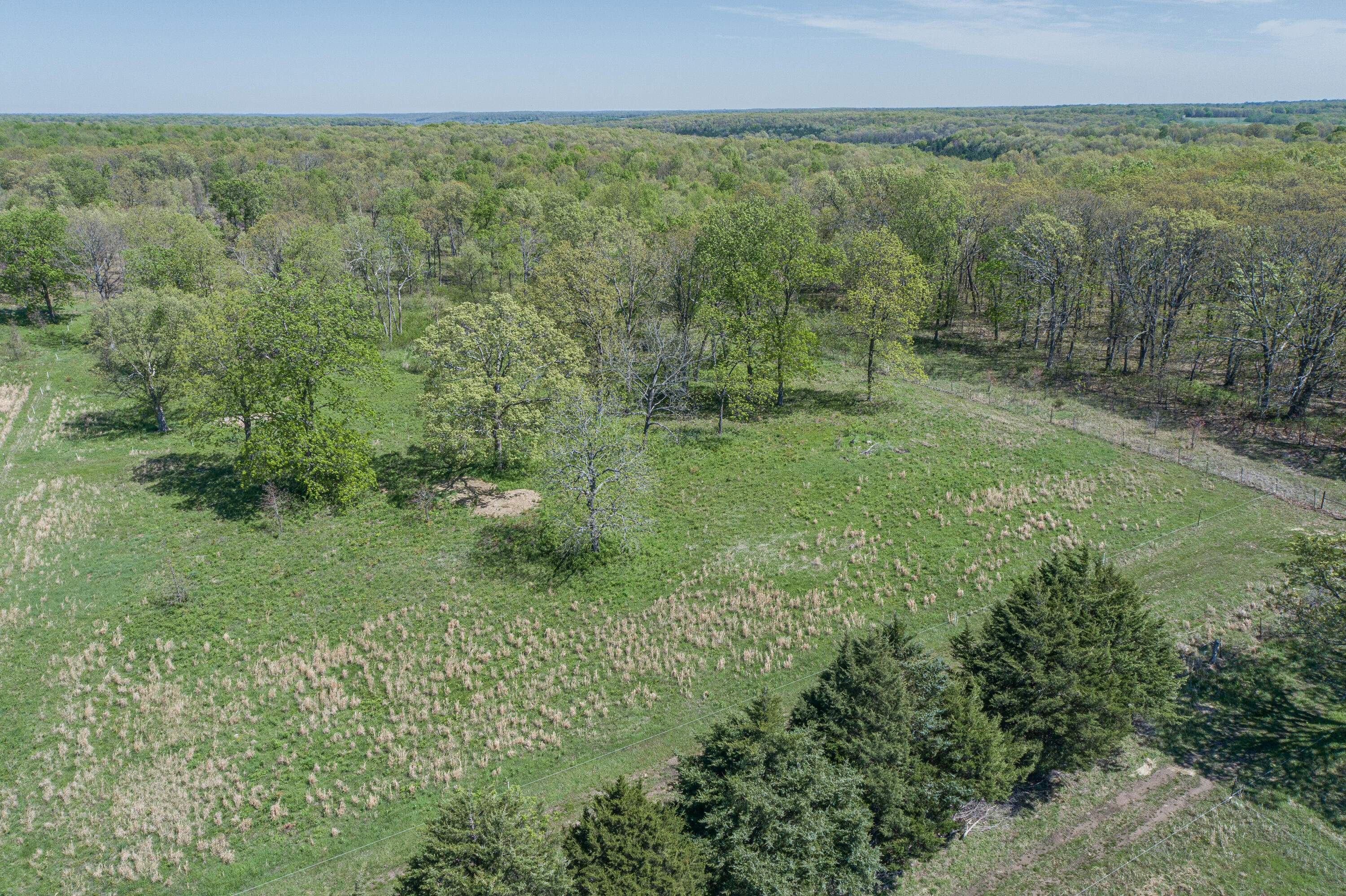 15959 County Road 121 Property Photo 53