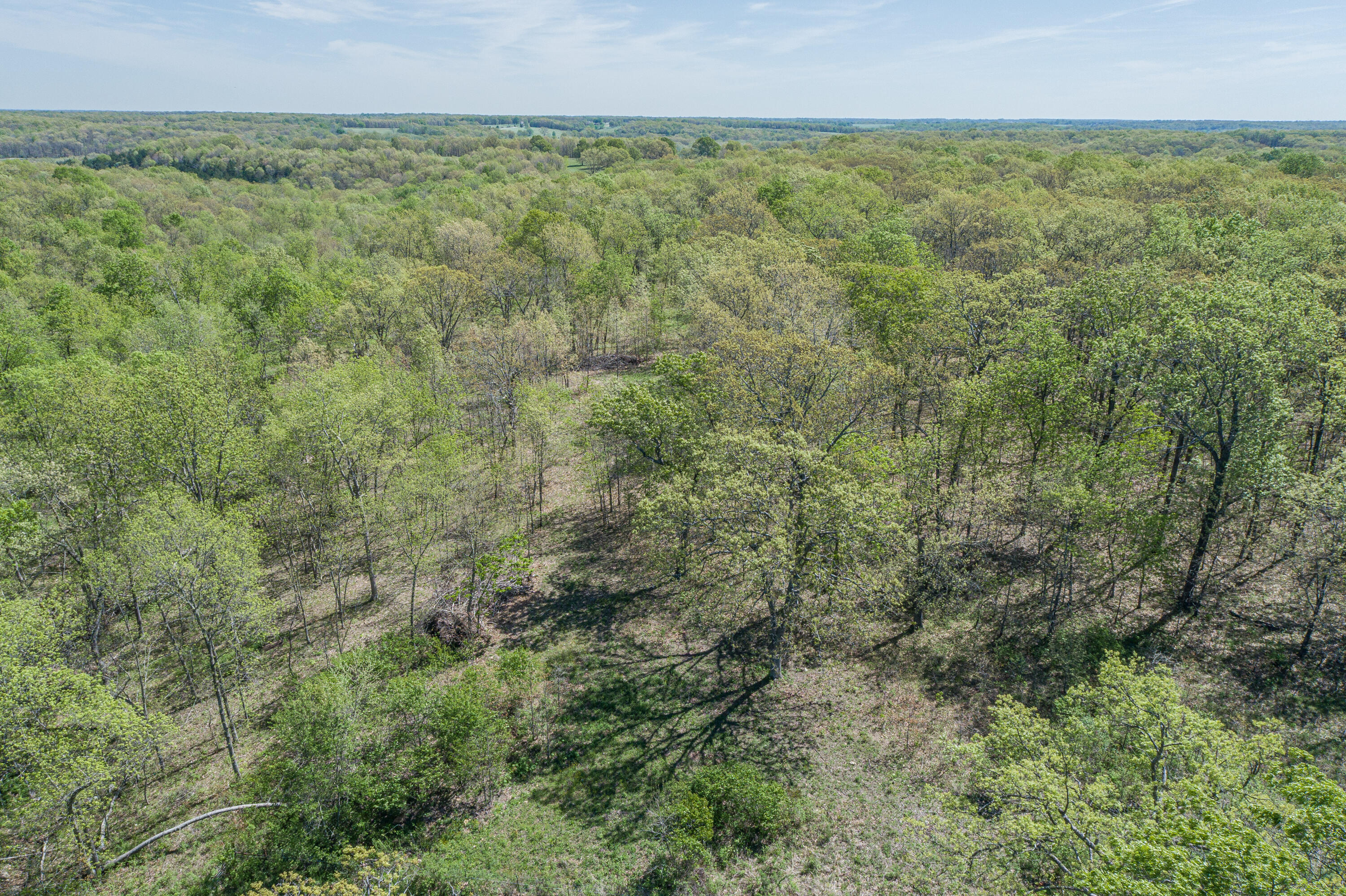 15959 County Road 121 Property Photo 56
