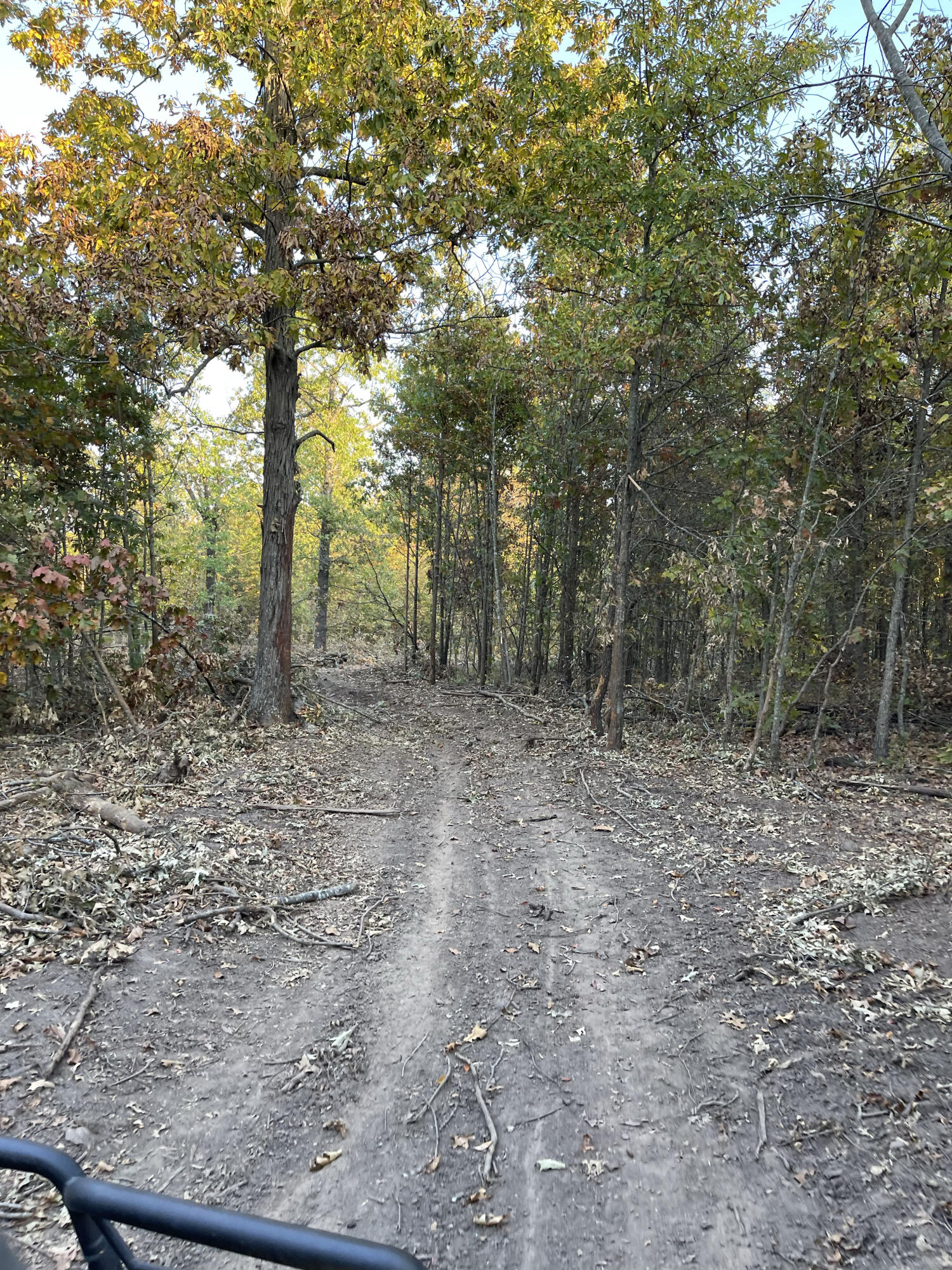 15959 County Road 121 Property Photo 58