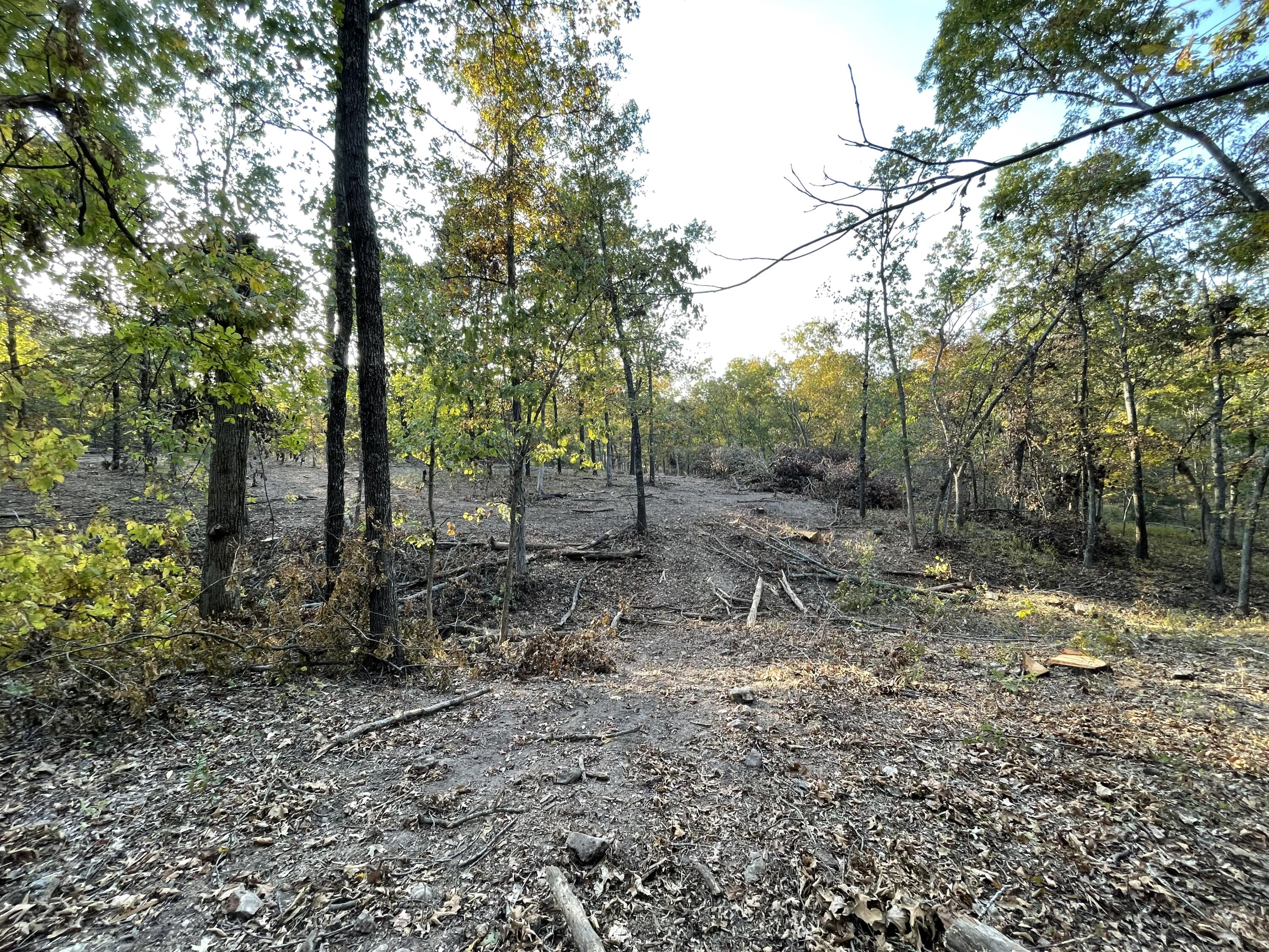 15959 County Road 121 Property Photo 59