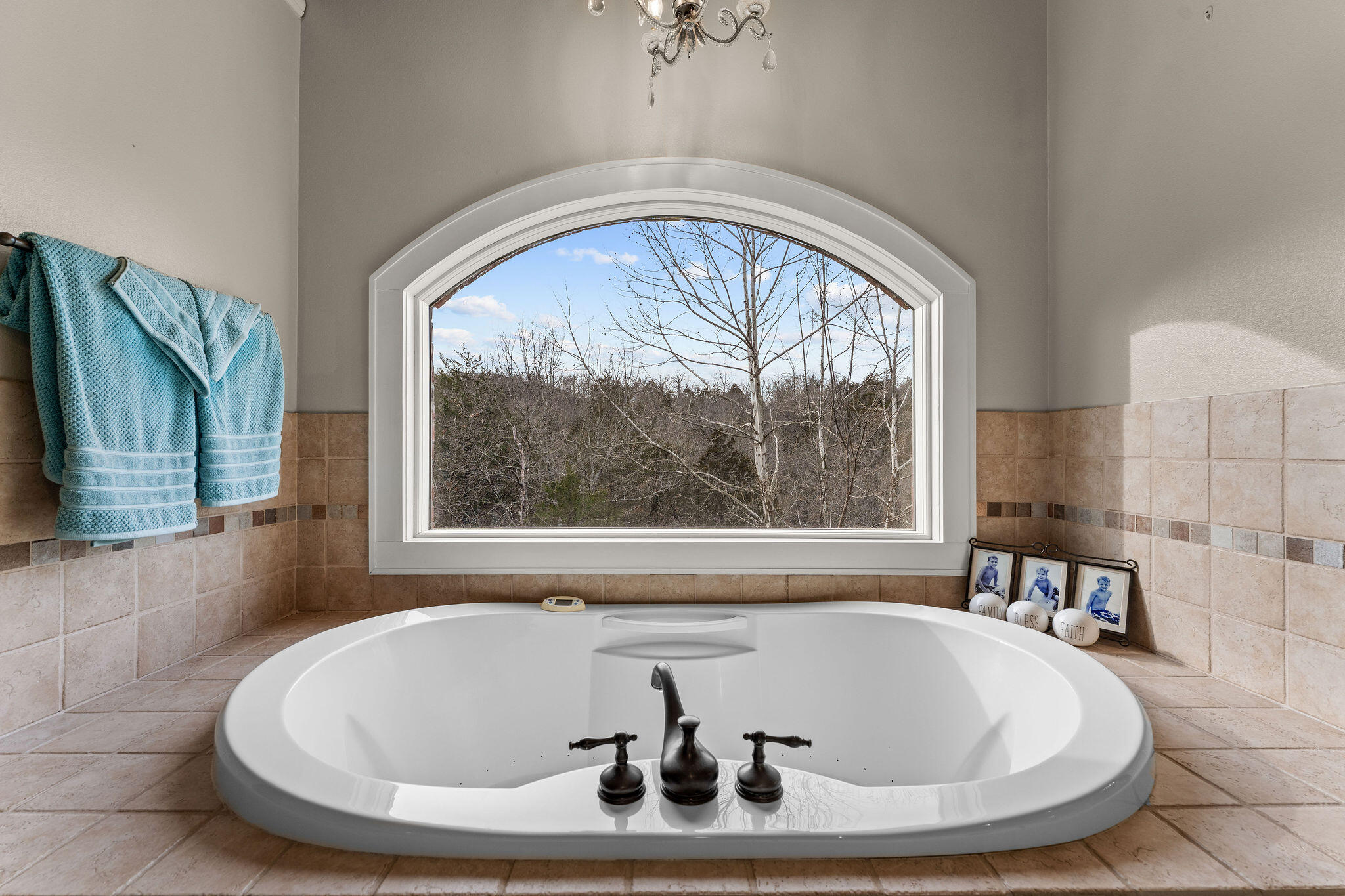 145 Appaloosa Trail Property Photo 25