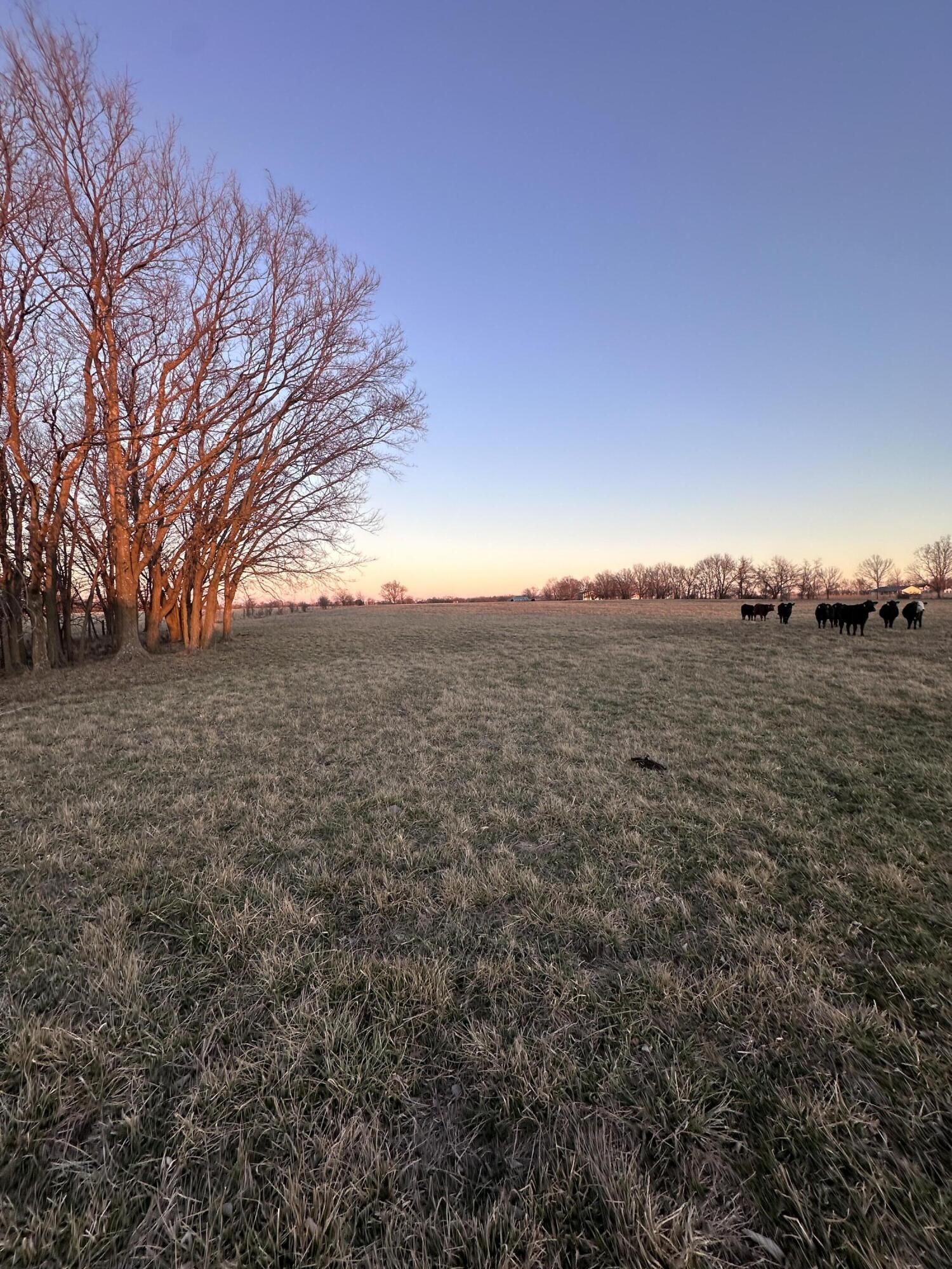 000 Civil War Road Property Photo 4