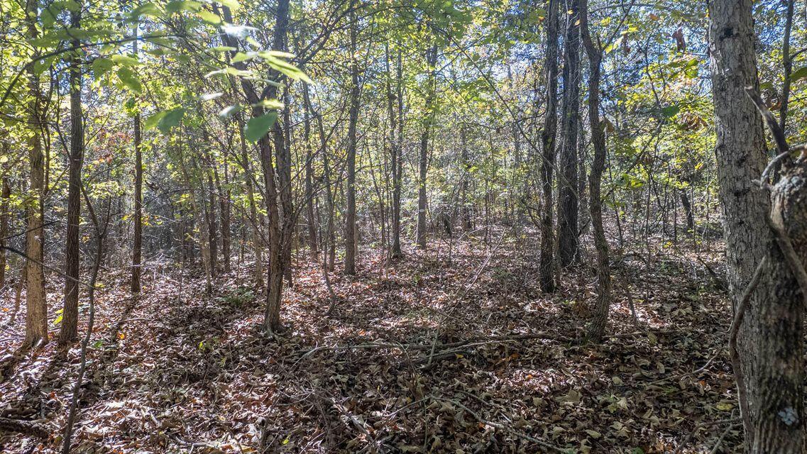 000 Cheetowaga Circle Property Photo 1