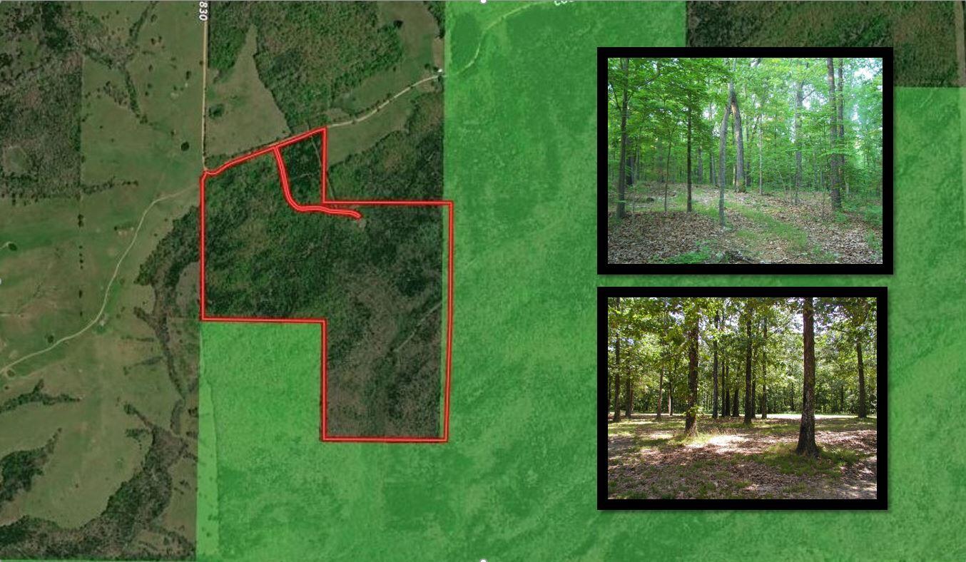 000 County Road 830 Property Photo 1