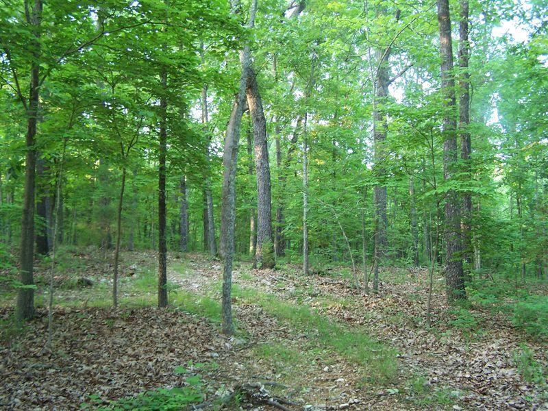 000 County Road 830 Property Photo 2