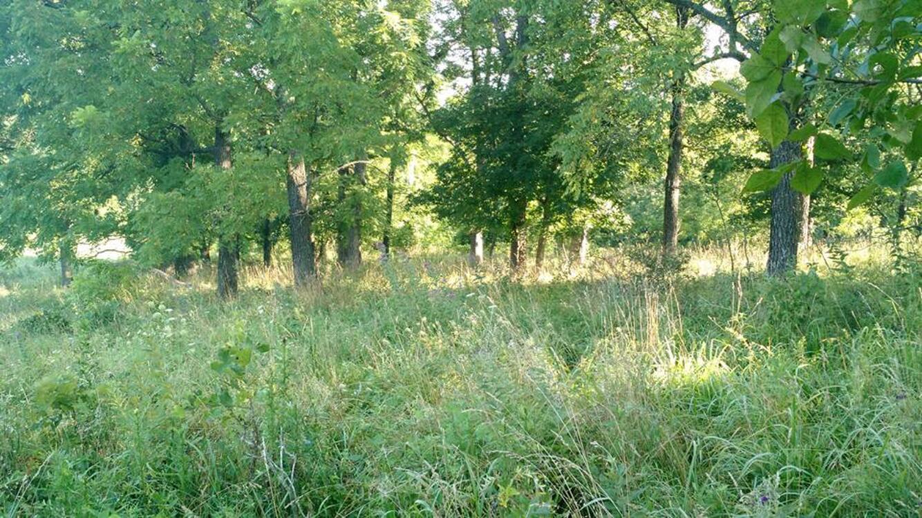 000 County Road 830 Property Photo 7