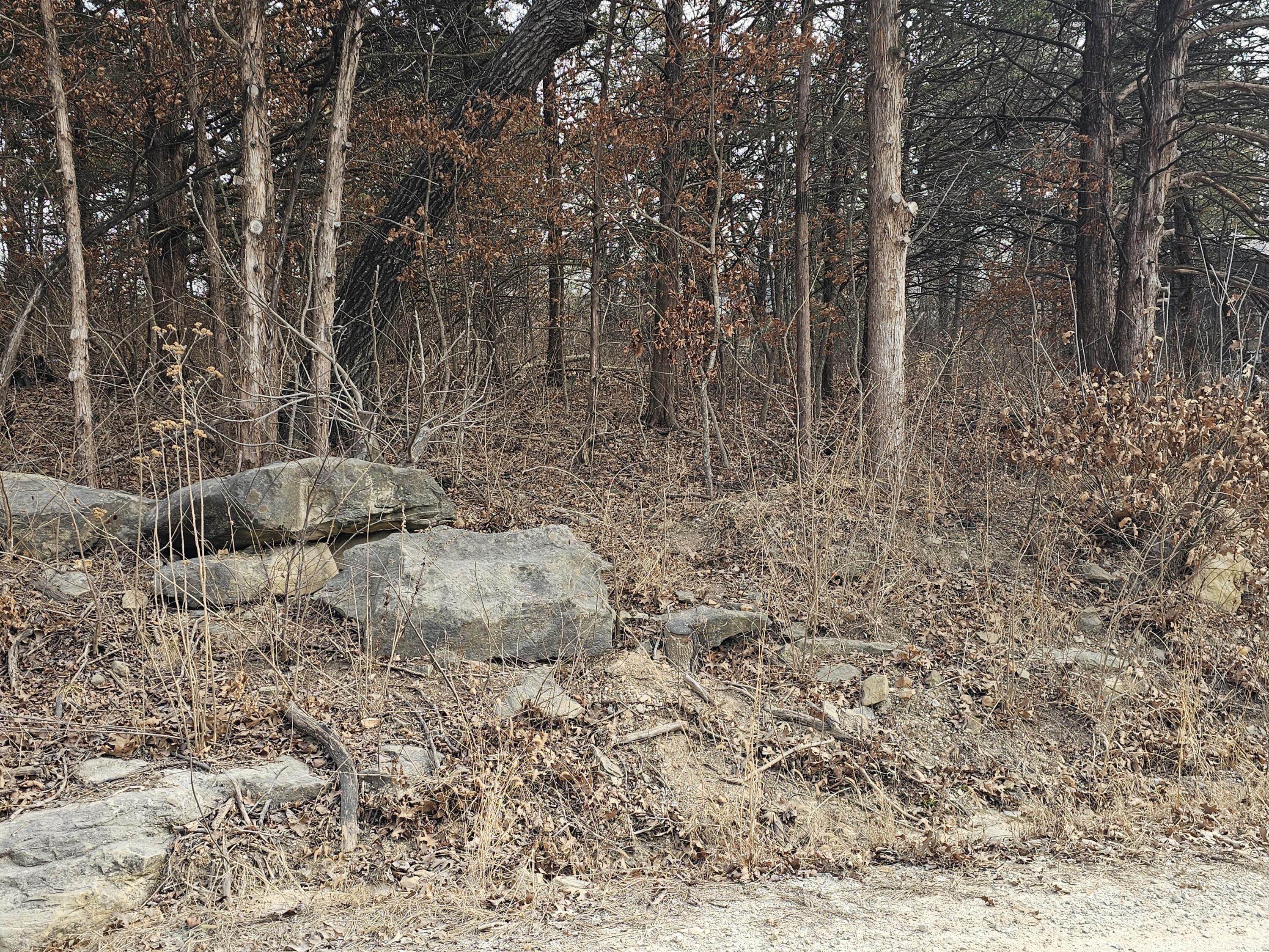 24643 Oak Drive Property Photo 2