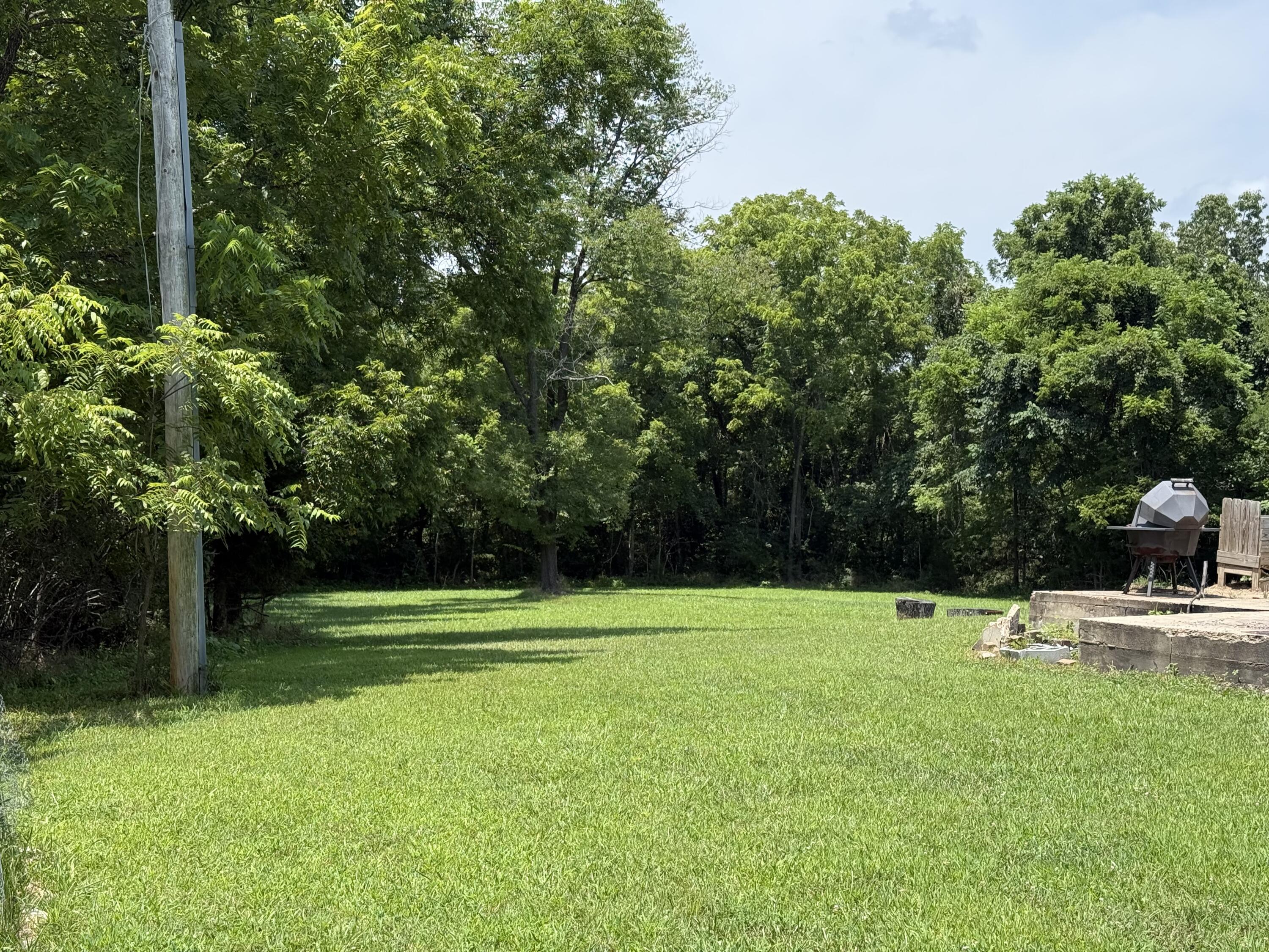 14649 Co Road 413 Property Photo 2
