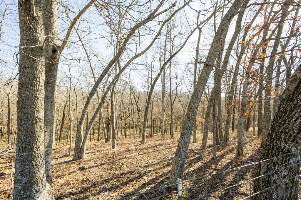 000 Highway M Property Photo 34