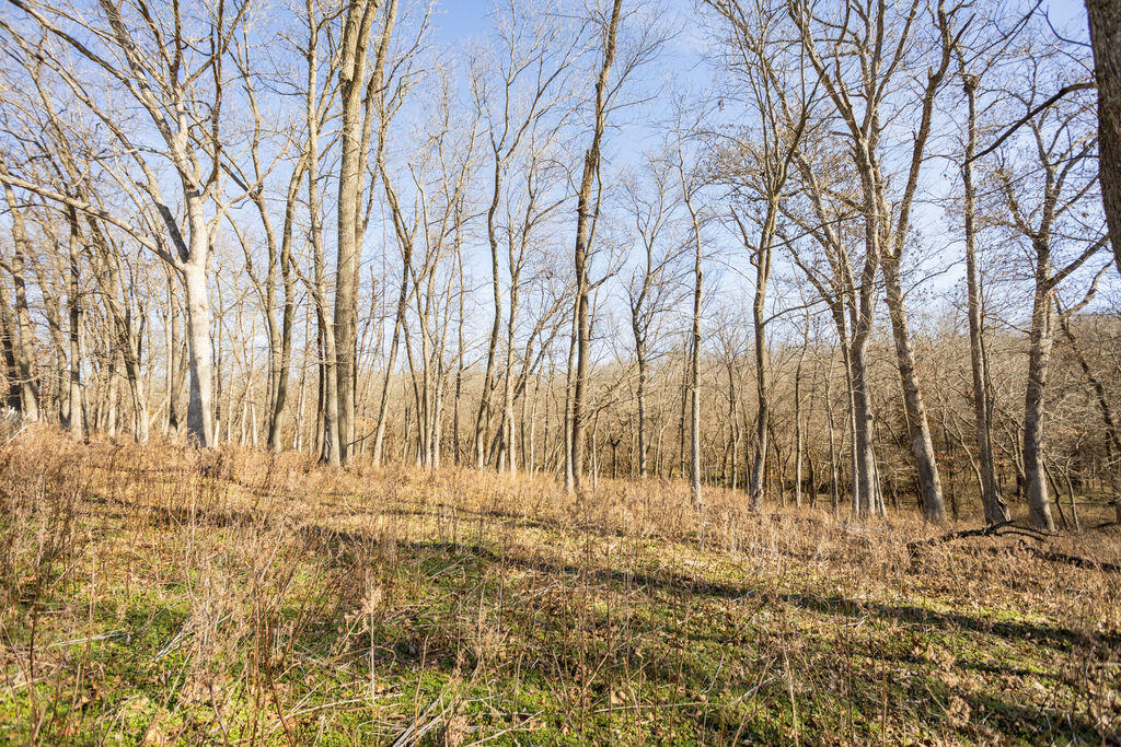 000 Highway M Property Photo 35